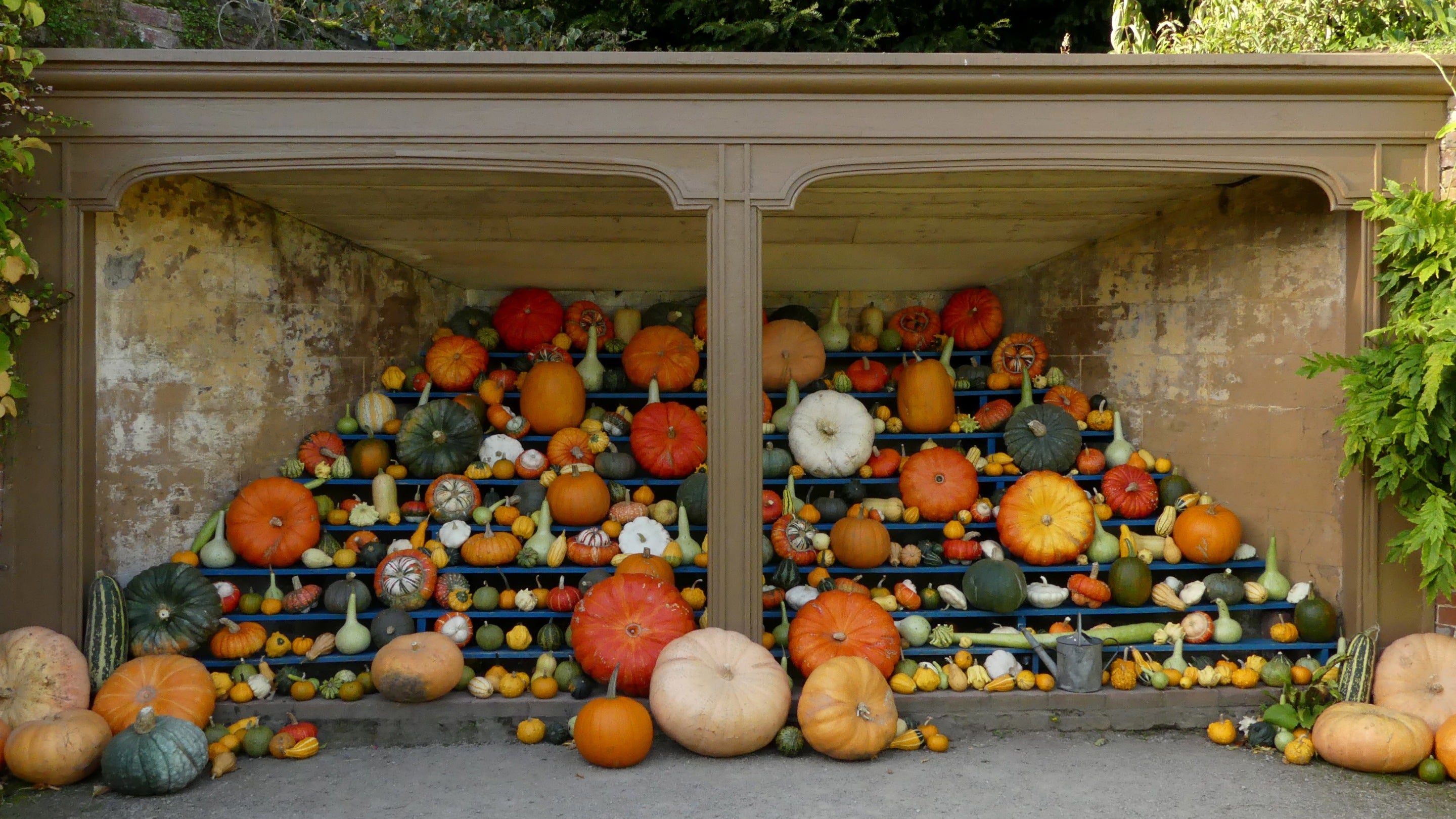 A variety of pumpkins, squashes and gourds on display at Calke Abbey, Derbyshire