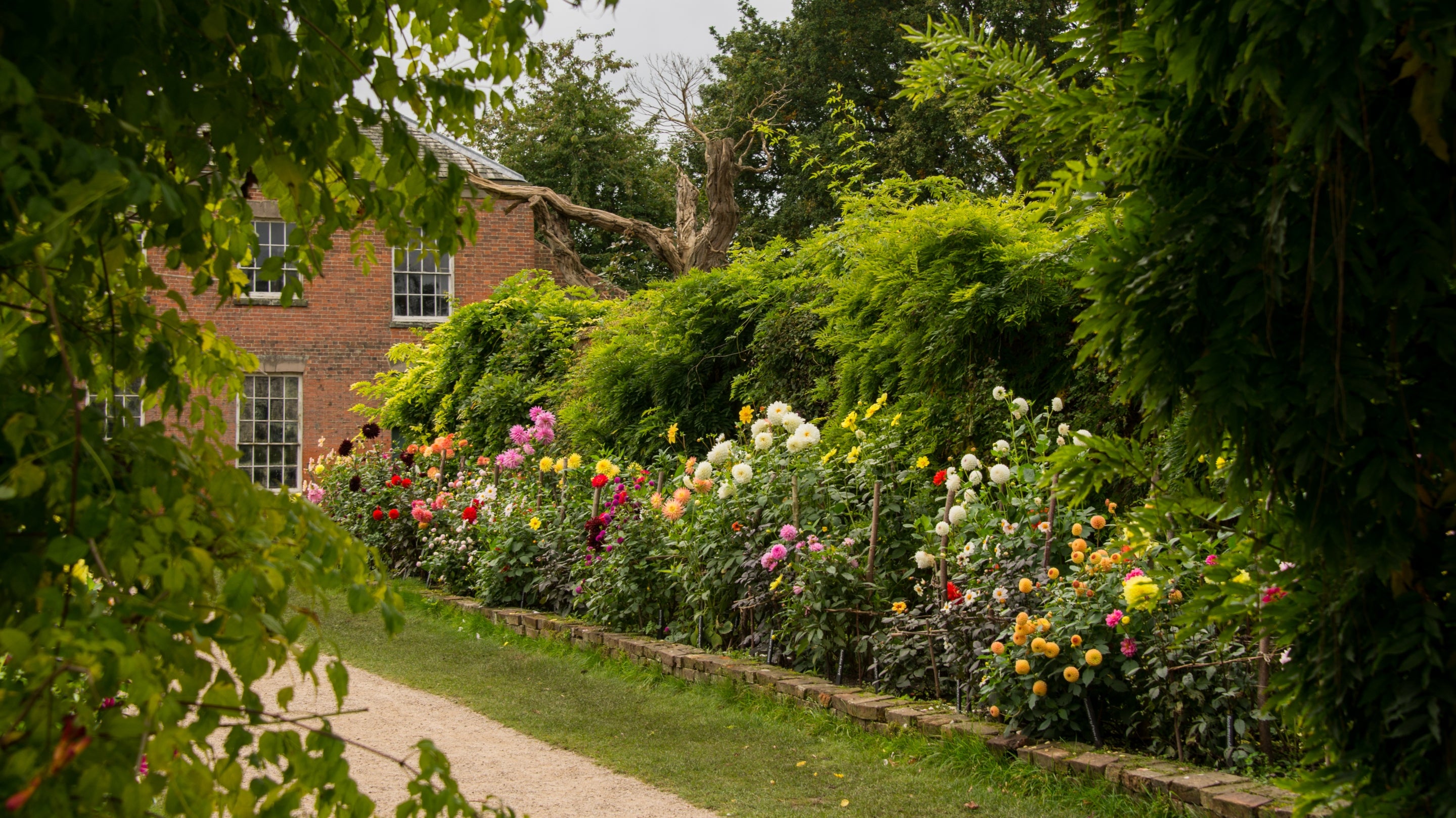 The dahlia border in the garden at Calke Abbey, Derbyshire