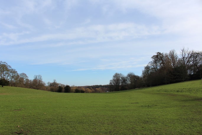 The vast expanse of grass that is the East Lawn at Calke Abbey, sloping gently on either side and framed by blue sky and trees on the horizon.
