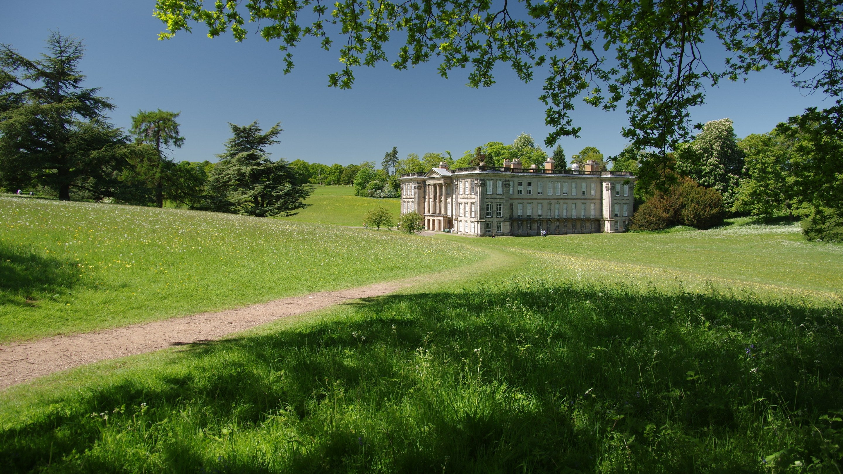 A view of the east side of the house surrounded by green trees and flowering meadows