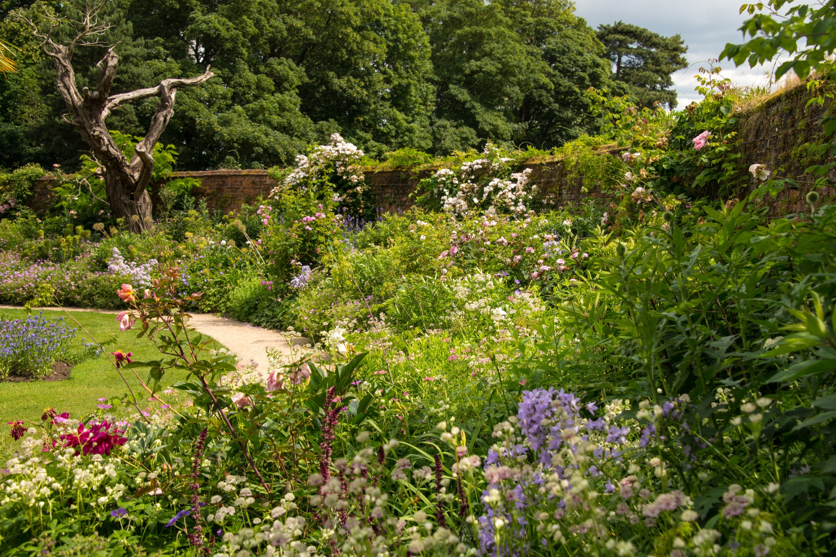 Bright colourful flowers in the herbaceous borders at Calke Abbey