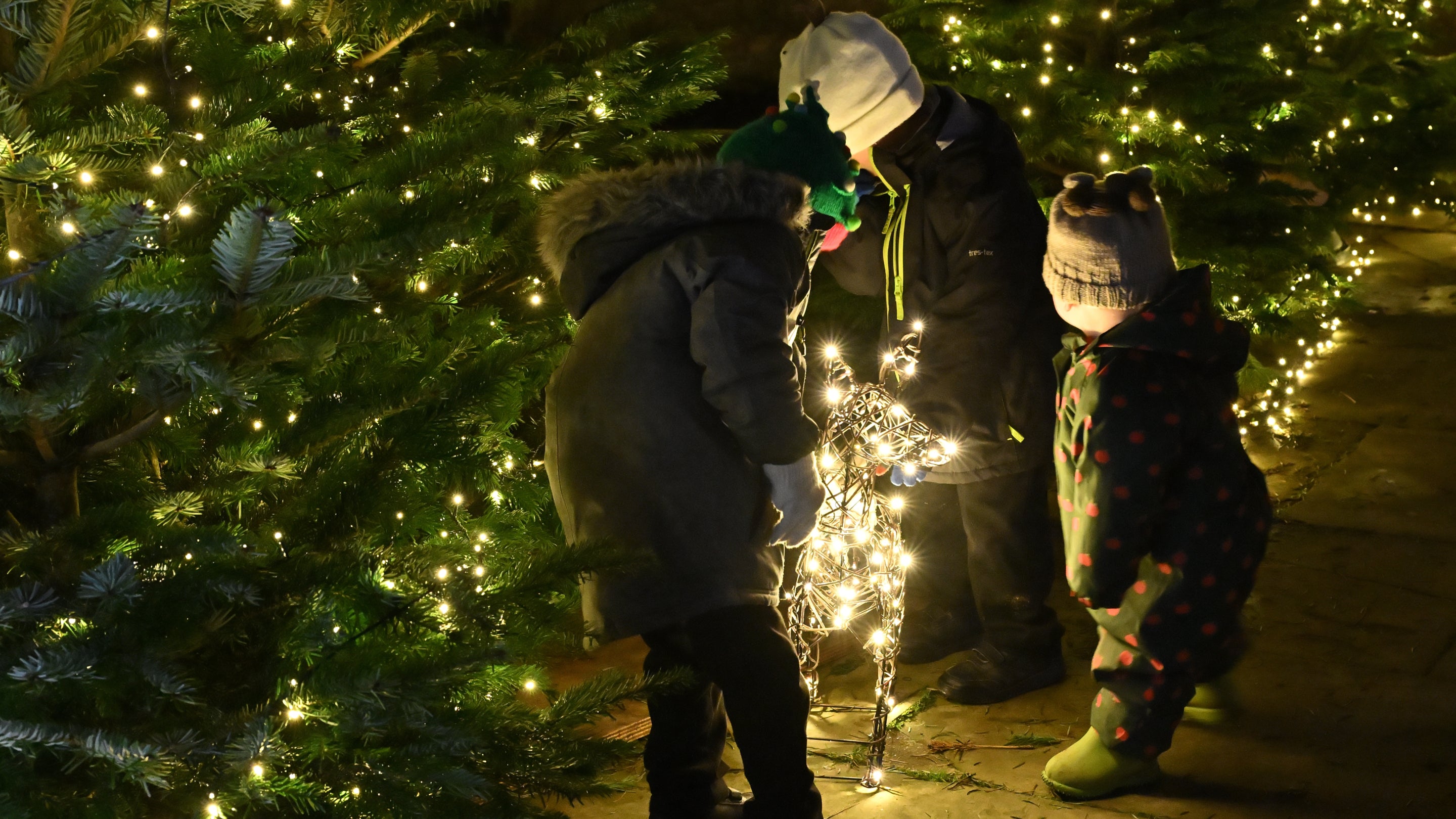 Children admiring Christmas lights in the courtyard at Calke Abbey, Derbyshire