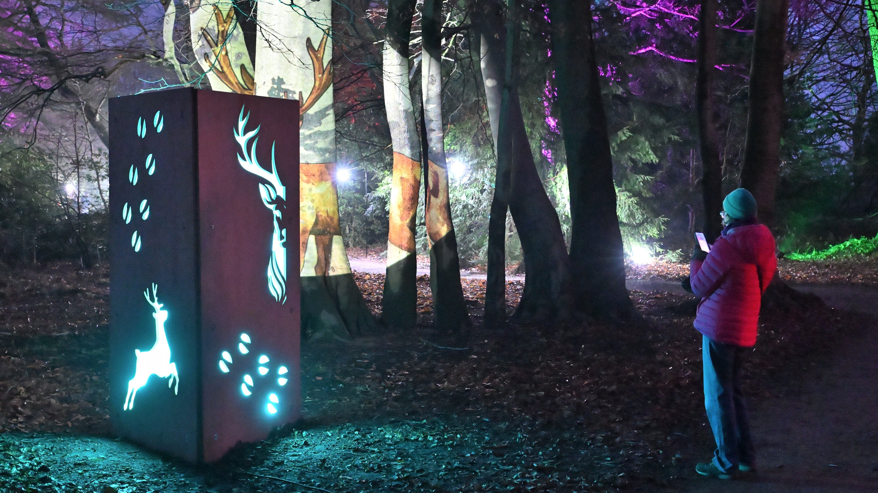 Christmas lights with deer cut out in the Pleasure Grounds at Calke Abbey, Derbyshire