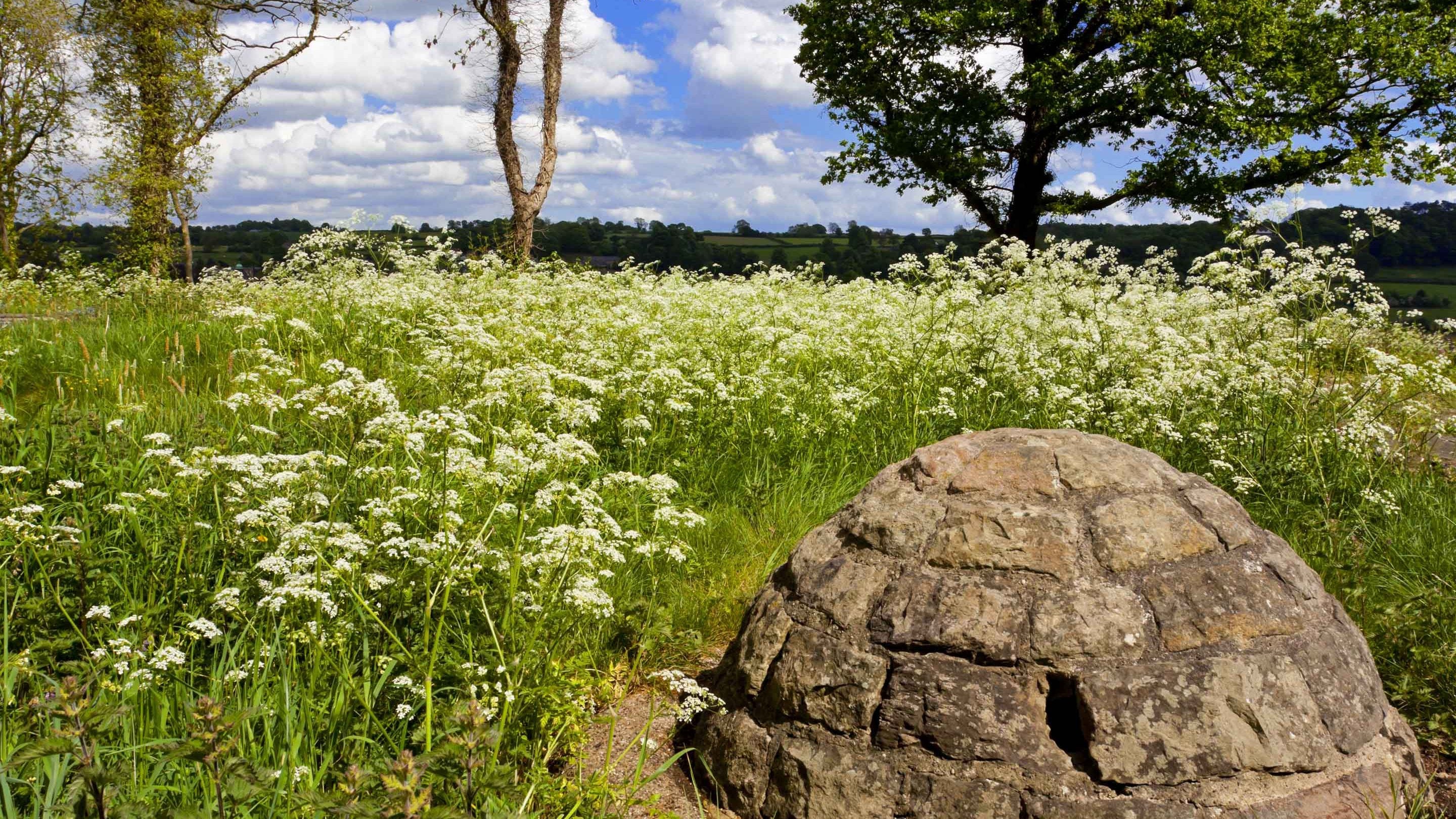 View looking north over the remains of Duffield Castle, Derbyshire, with brick dome in foreground