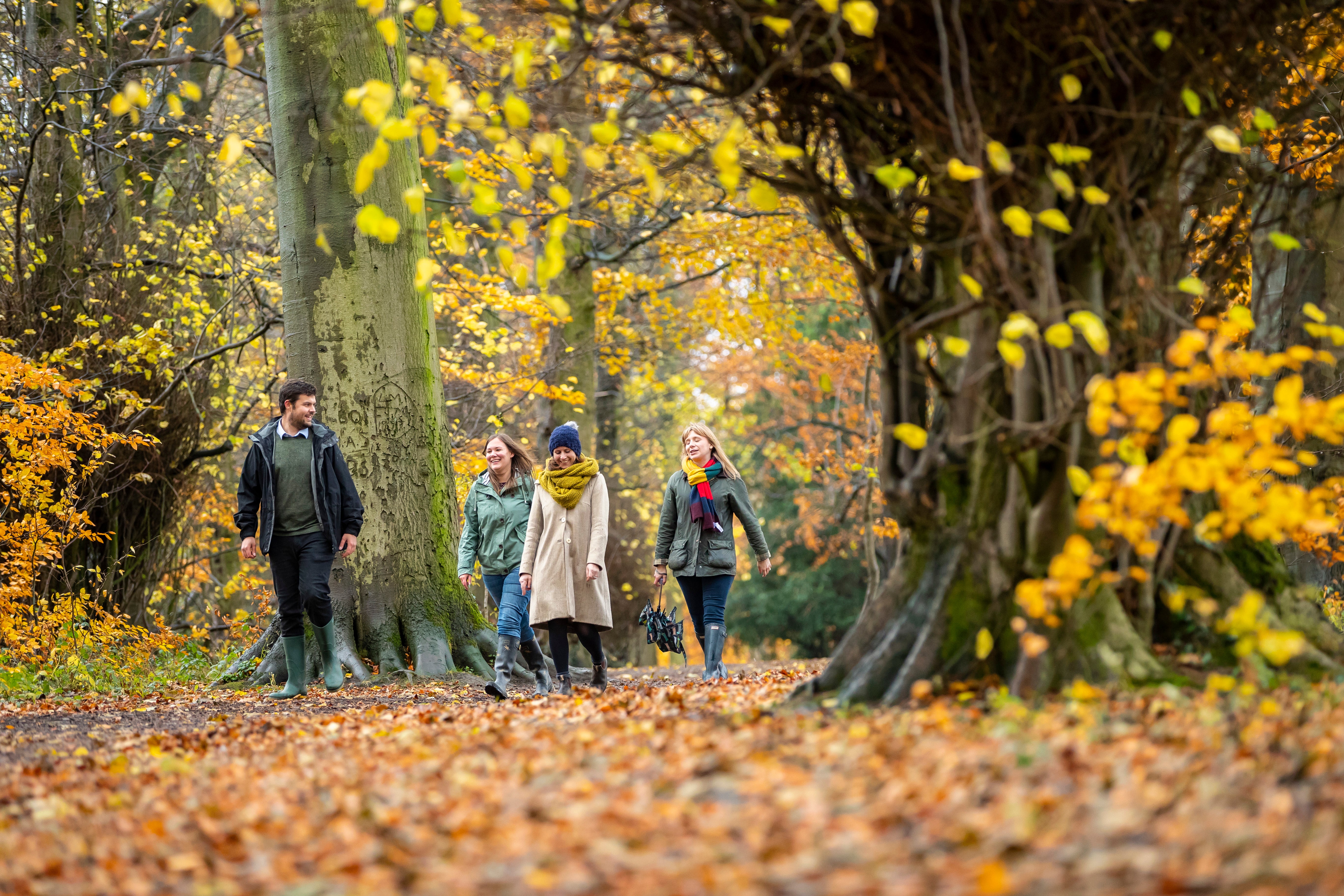 A group of people walking through a woodland in full autumn colour.