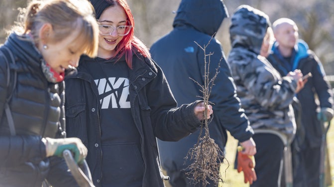 Someone digging with a spade and another person holding a tree sapling. Other people are working in the outdoors in the background of the image