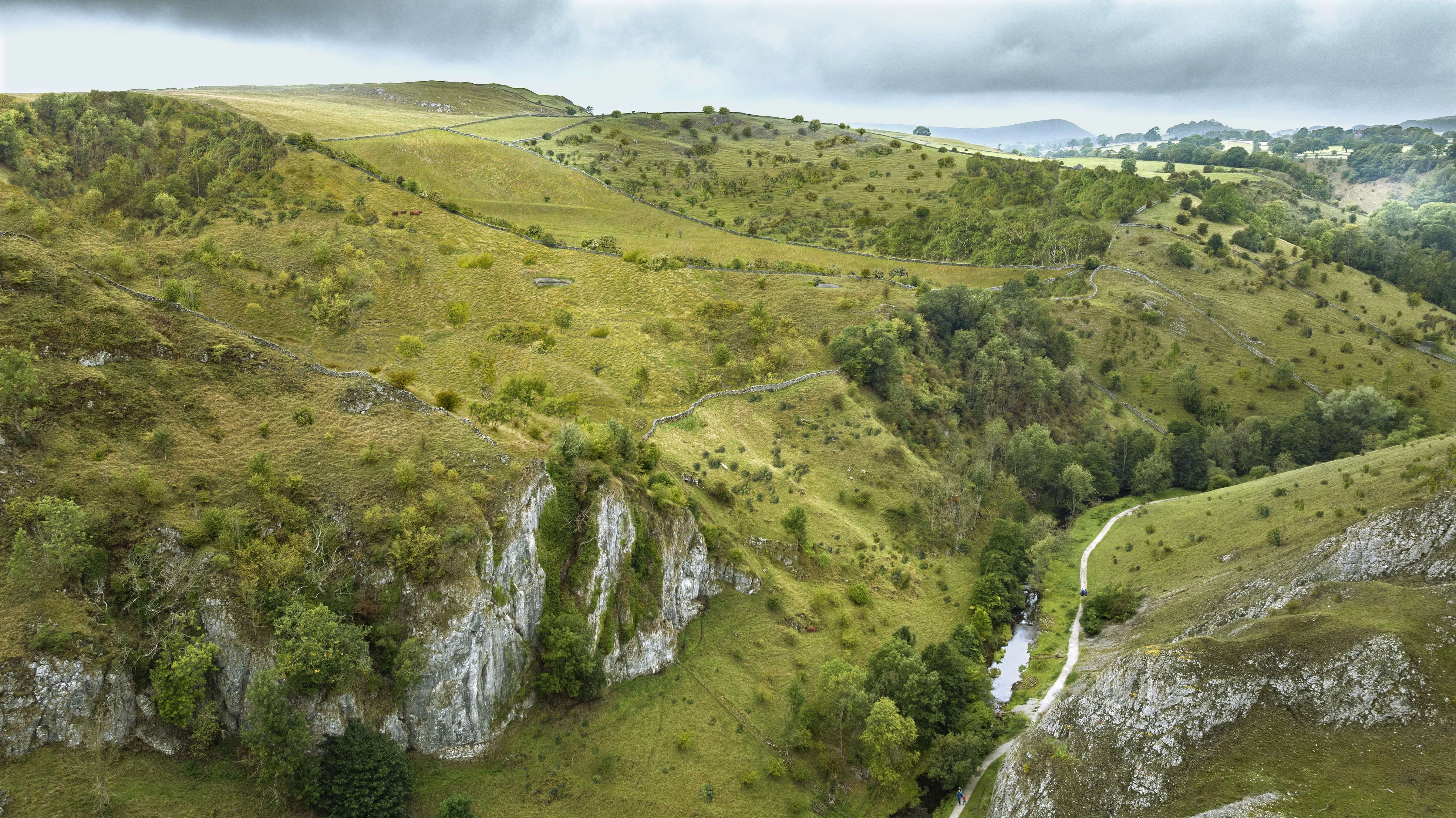 An artists impression showing fields on the top of wooded ravines full of different grasses and shrubs with trees and woodlands in the ravines and a river running through the valley. There are cows grazing on the hill in the distance and flowers growing on rocky cliff faces.