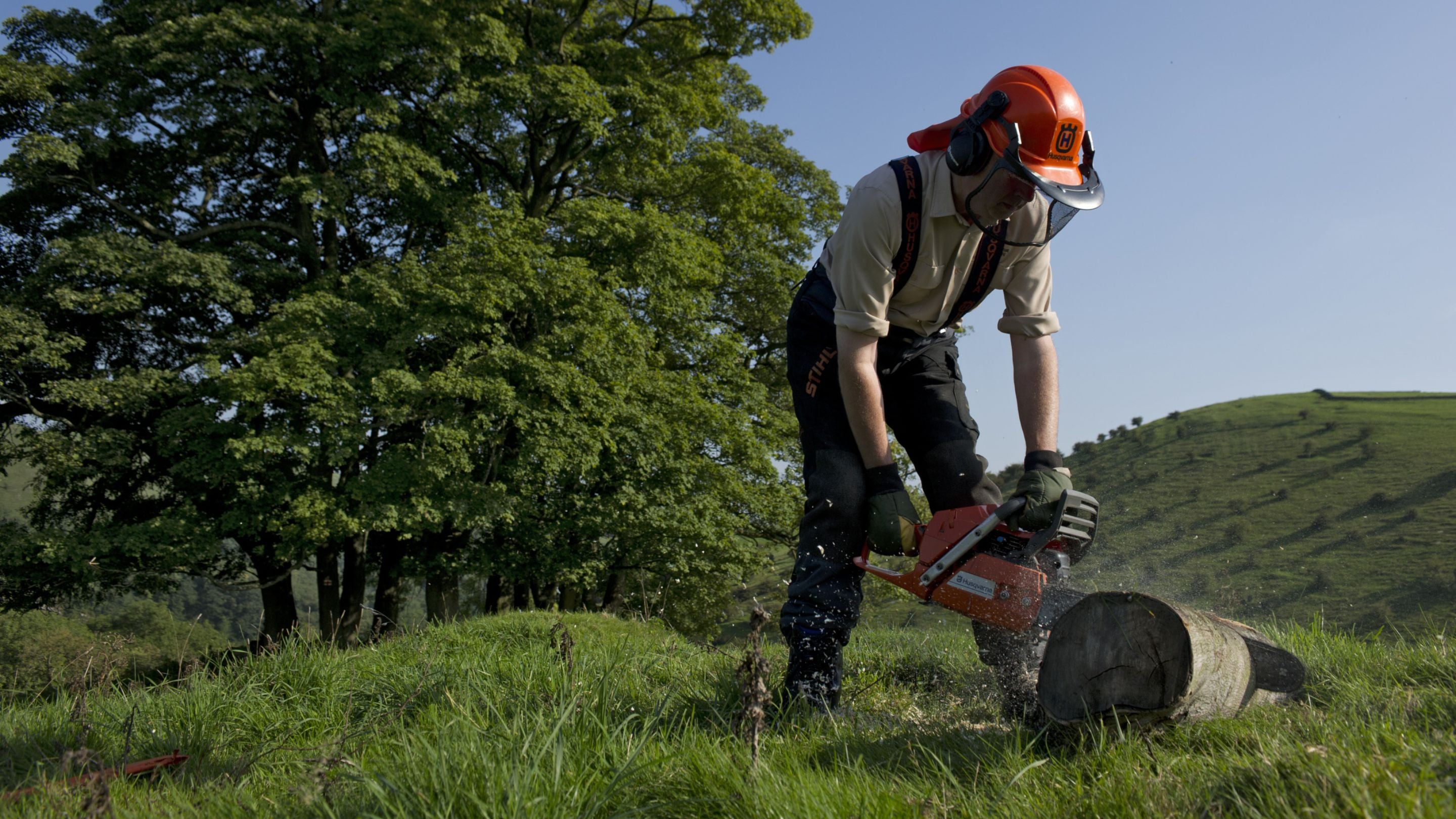 Ranger at work cutting a log with a chainsaw in the White Peak Estate, Derbyshire