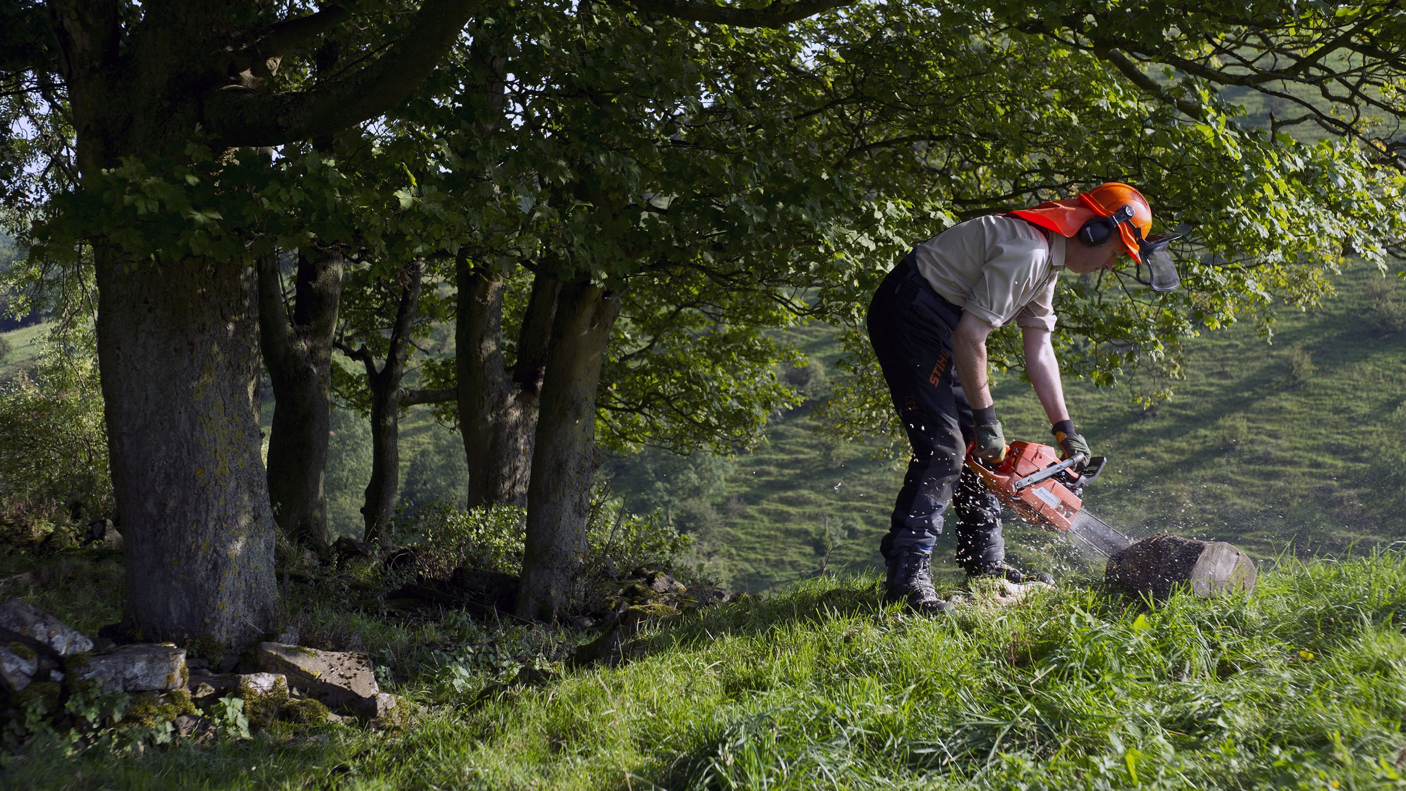 A ranger uses a chainsaw to saw wood in the White Peak Estate, Derbyshire