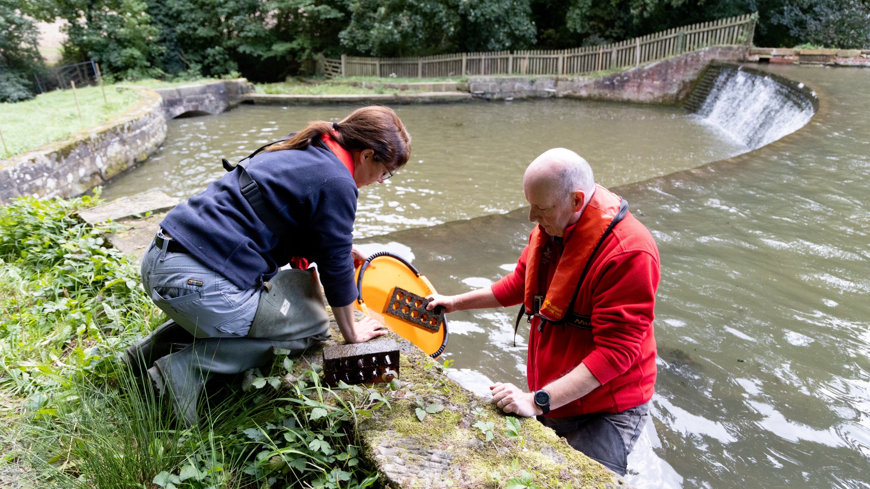 Setting up artificial refuges in Kedleston lakes