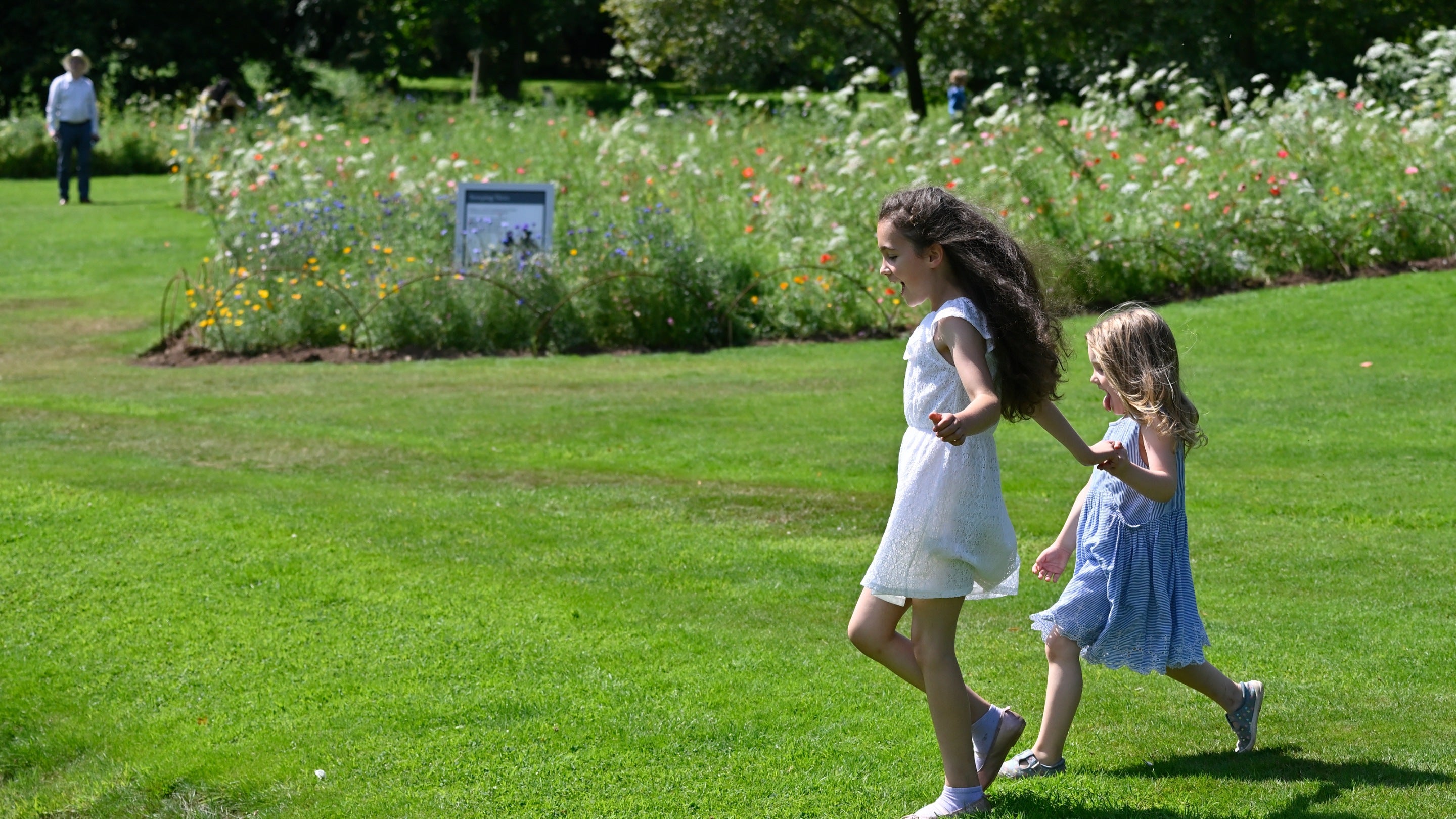 2 children run in a wildflower meadow garden