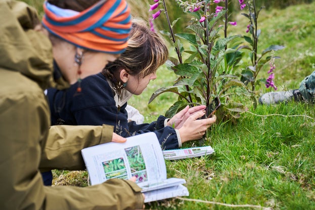 Two people laying on the floor looking at a plant one of them is checking a book and the other is looking holding the leaves on the plant