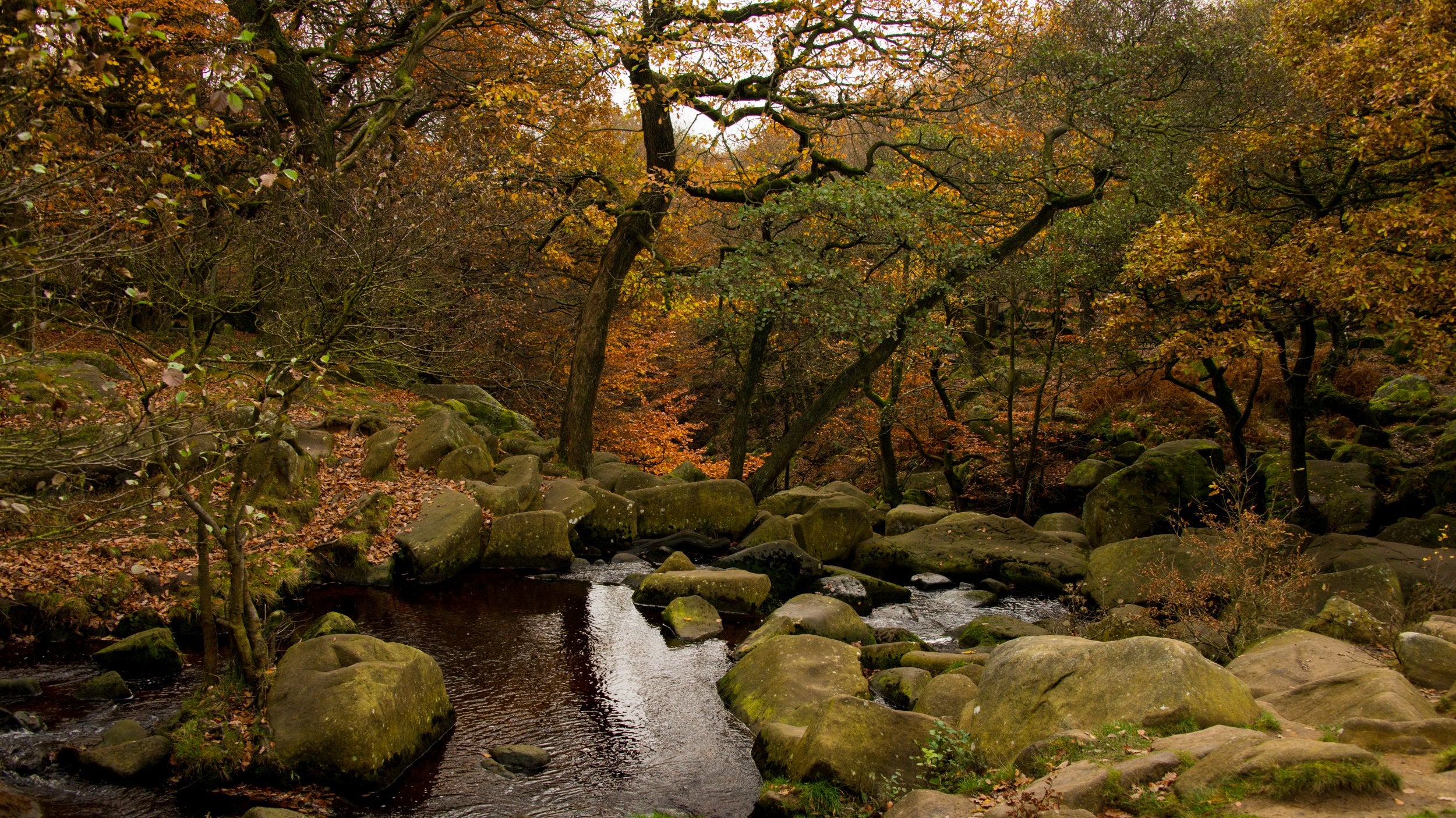 Rocky stream running through an autumn woodland