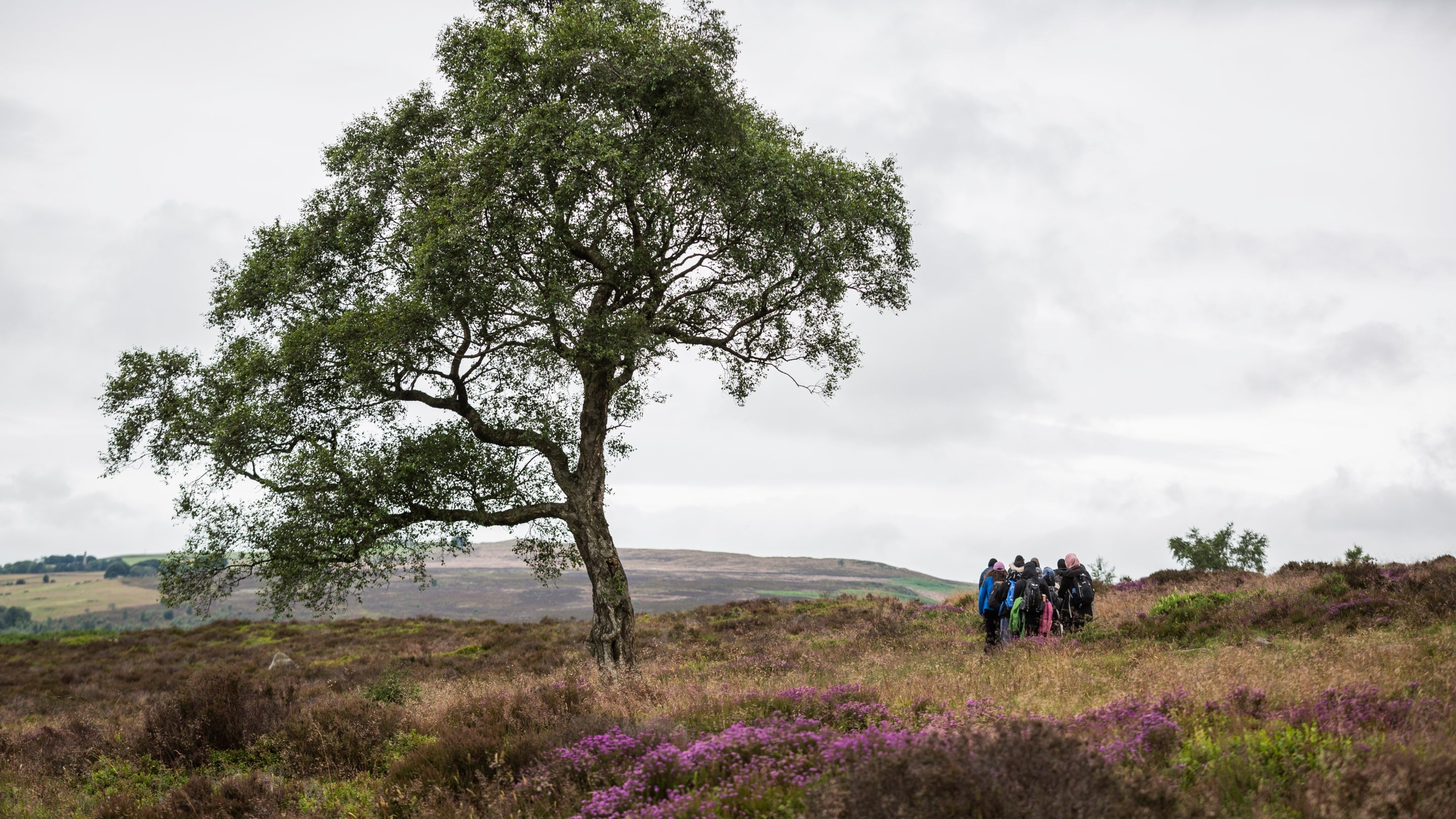 A group of teenagers with headscarves on looking out over a view of a heather moorland.