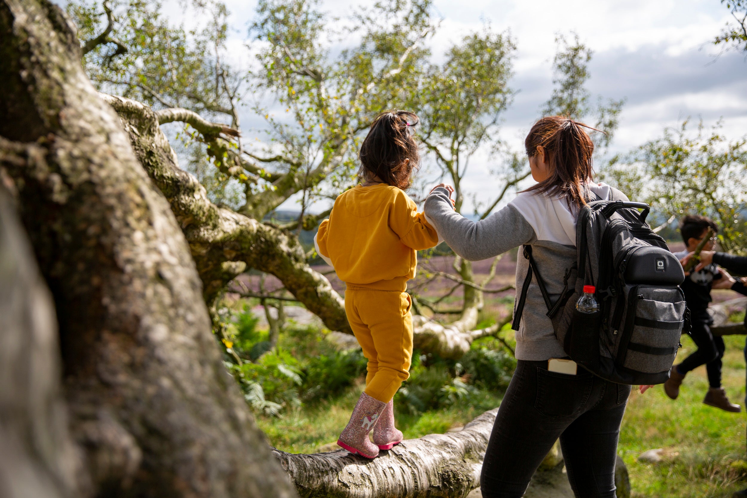A child walking along a fallen tree holding an adult's hand with another child playing on a tree in the background