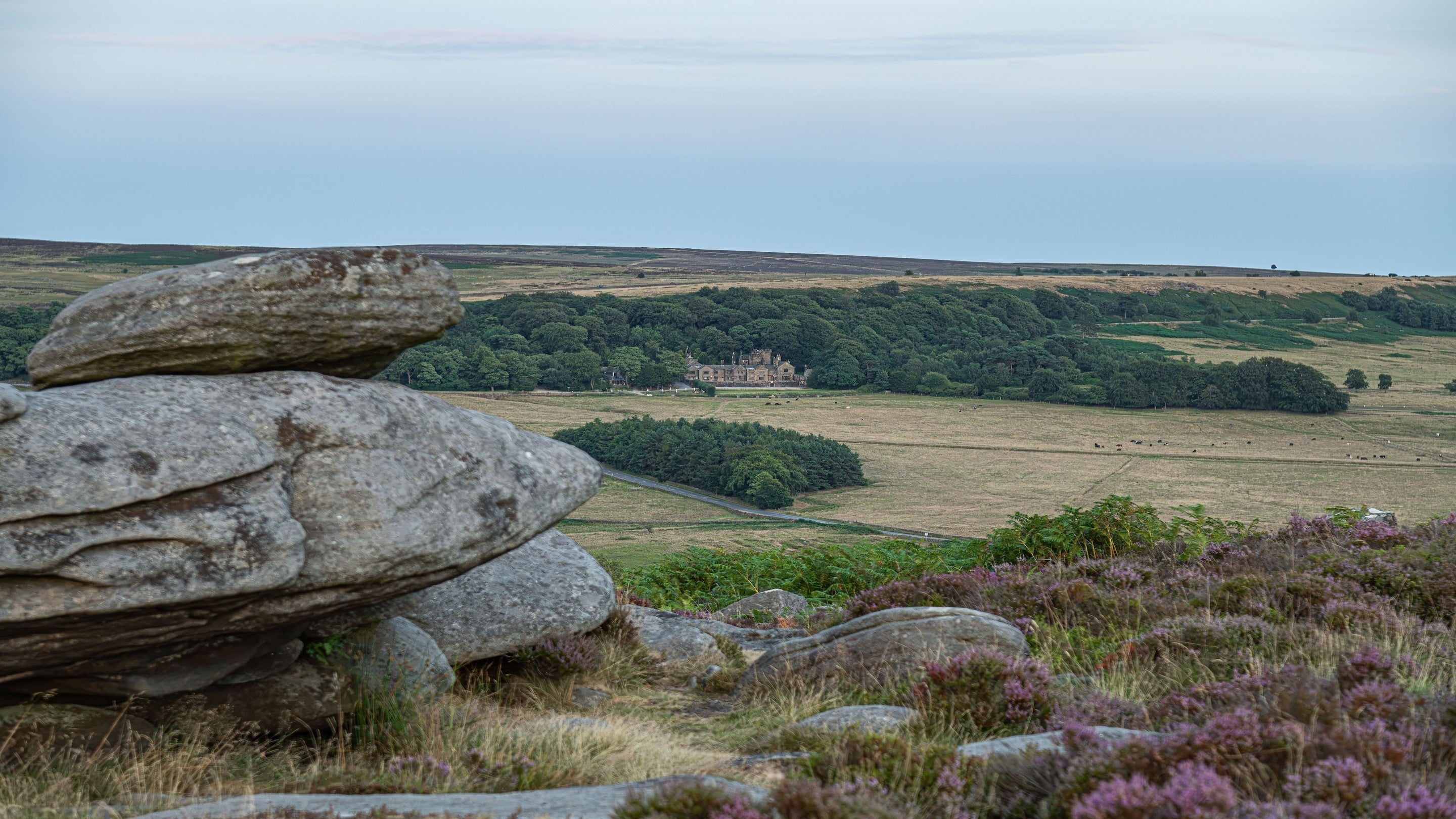 A view from a gritstone ridge, over heather moorland towards a grand building in the distance.