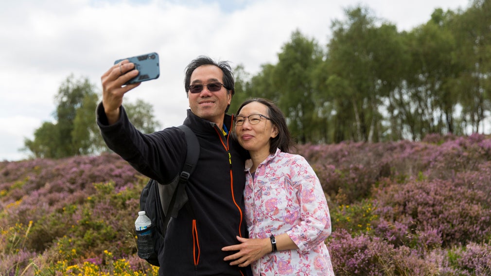 Visitors take a photo beside flowering heathers at Longshaw, Burbage and the Eastern Moors, Derbyshire