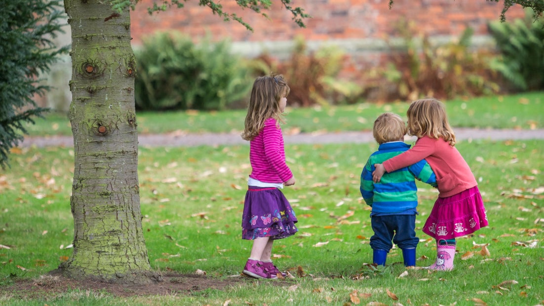 Contains children, garden, autumn, house