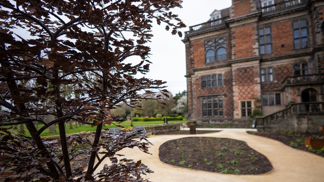 An image of a copper fountain shaped in a tree surrounded by garden borders and overlooked with a house