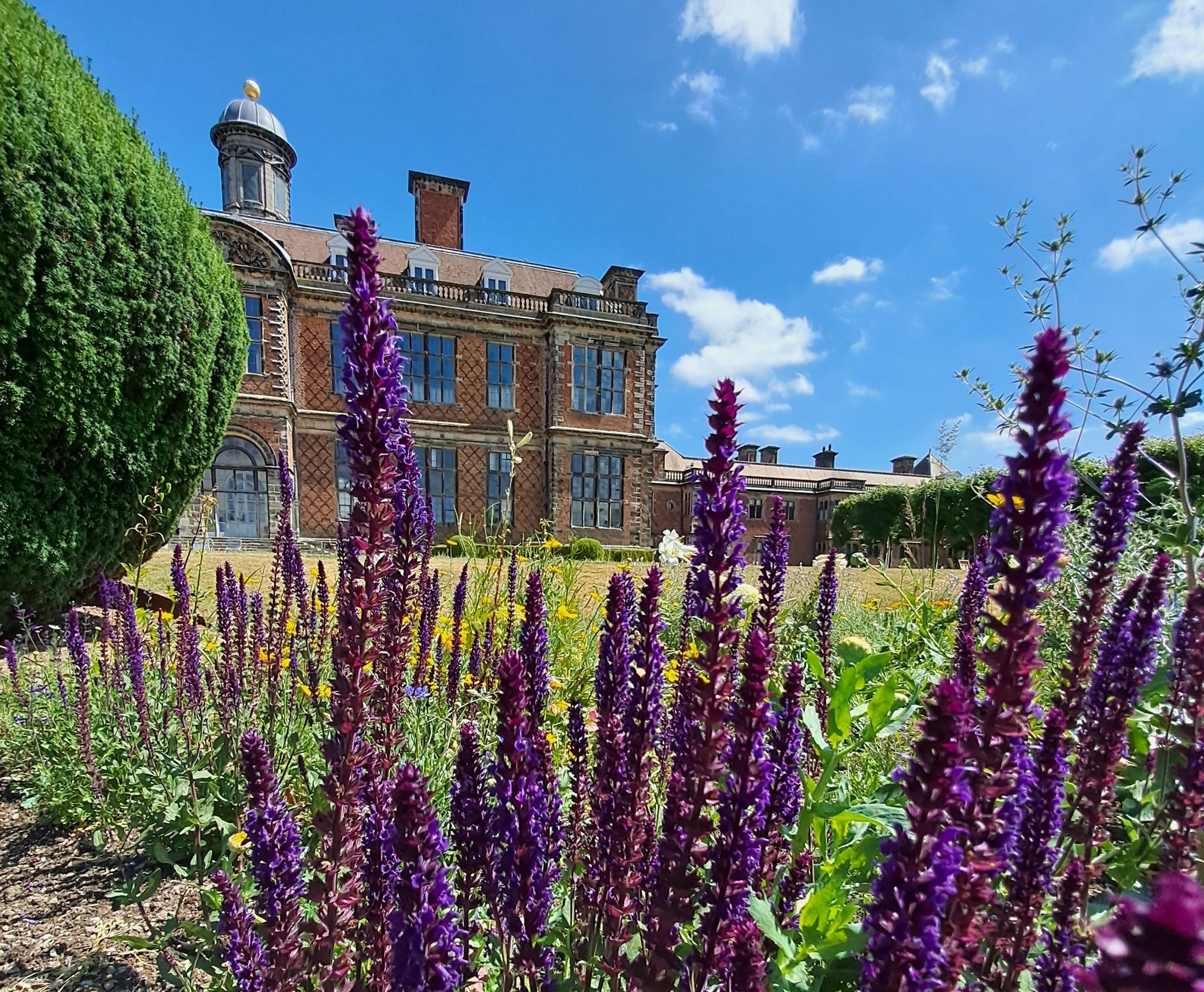 Summer Gardens at The Children's Country House