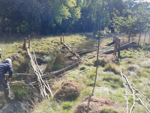 Rangers Nature Recovery