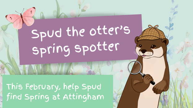 Illustrated poster featuring a cartoon otter named Spud wearing a detective-style hat and holding a magnifying glass. A pink butterfly hovers above. Text on the poster reads: ‘Spud the otter’s spring spotter’ and ‘This February, help Spud find Spring at Attingham’. The background shows soft pastel illustrations of spring plants and flowers