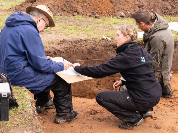 Attingham unearthed dig