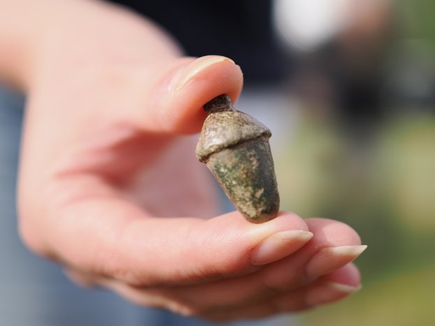 Decorative acorn find Attingham