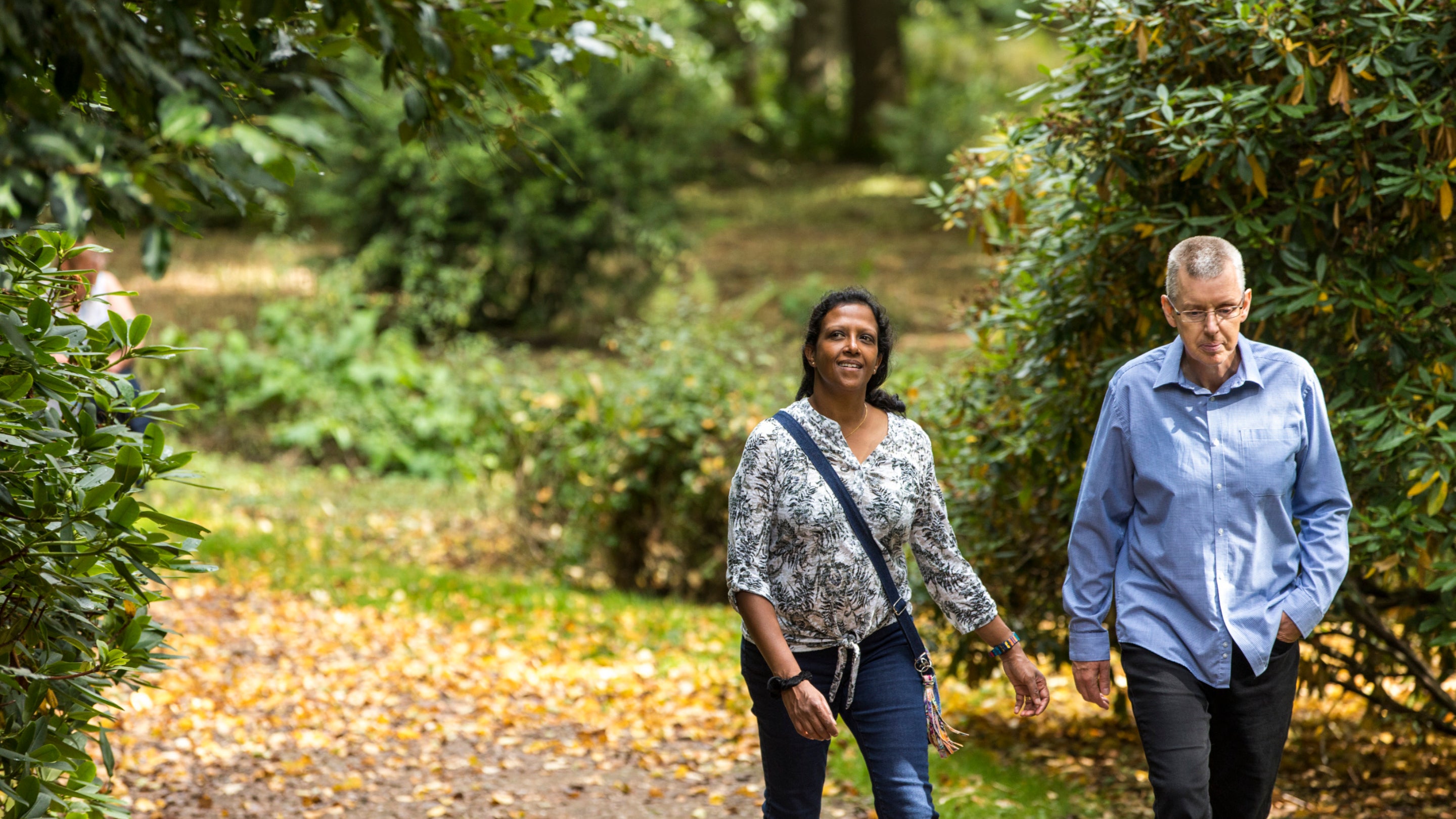 Couple walking along pathway lined with autumn leaves at Attingham Park