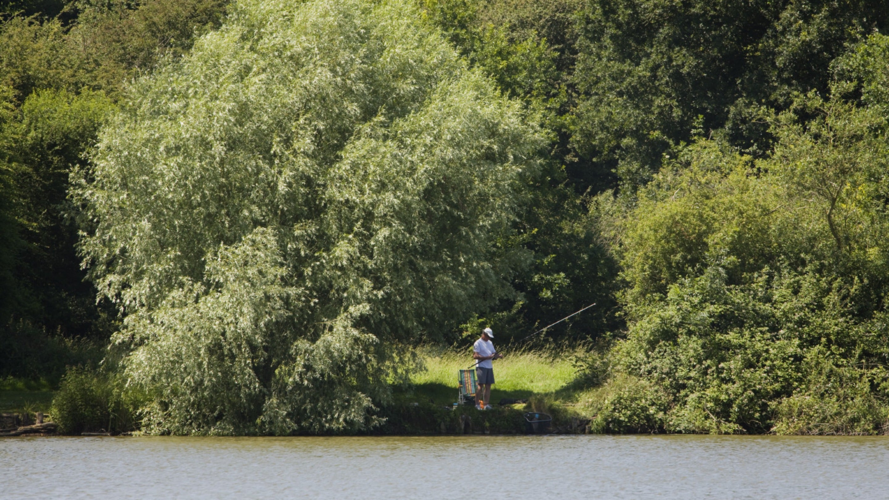 A peaceful scene of a person fishing by a lake in a forested area. The angler, wearing a hat and casual clothes, stands on a grassy bank, holding a fishing rod with a colorful chair and some gear nearby. Large trees with dense green foliage surround the person, casting shade, while the calm lake stretches across the foreground, reflecting the serene, natural environment. The overall atmosphere is quiet and relaxing, highlighting a simple moment in nature.