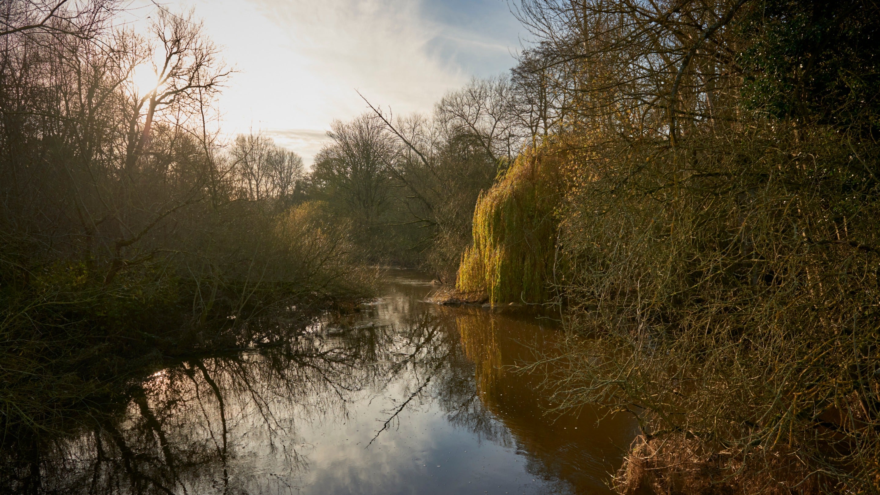 A peaceful view of the River Tern at Attingham Park, Shropshire. The river is surrounded by dense trees, their branches reflecting softly on the calm water. Sunlight filters through the bare branches, casting a warm glow on the scene. On the right, a large weeping willow adds texture to the landscape, enhancing the serene atmosphere of this natural setting.