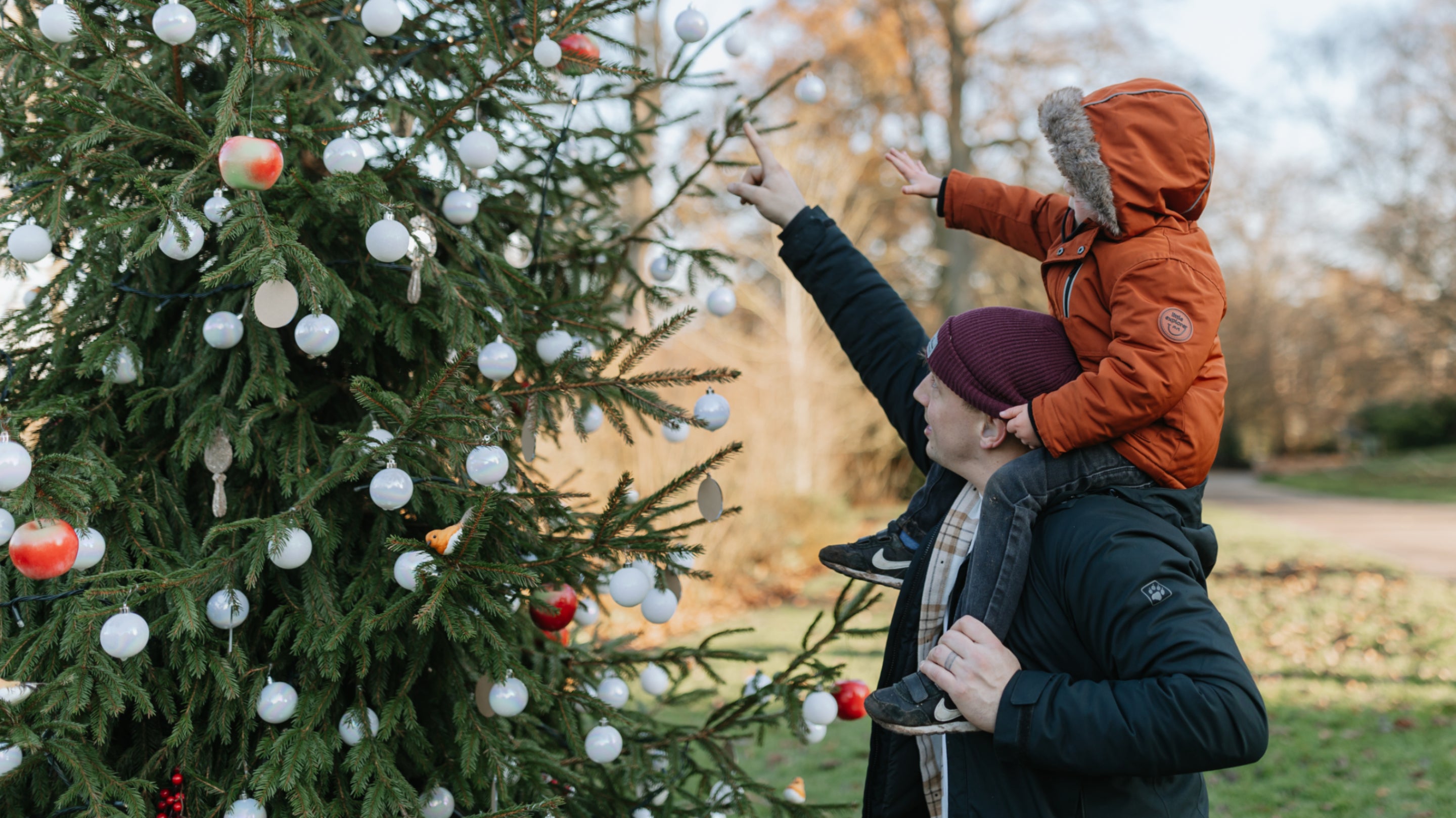 Outdoor Christmas Tree at Attingham Park