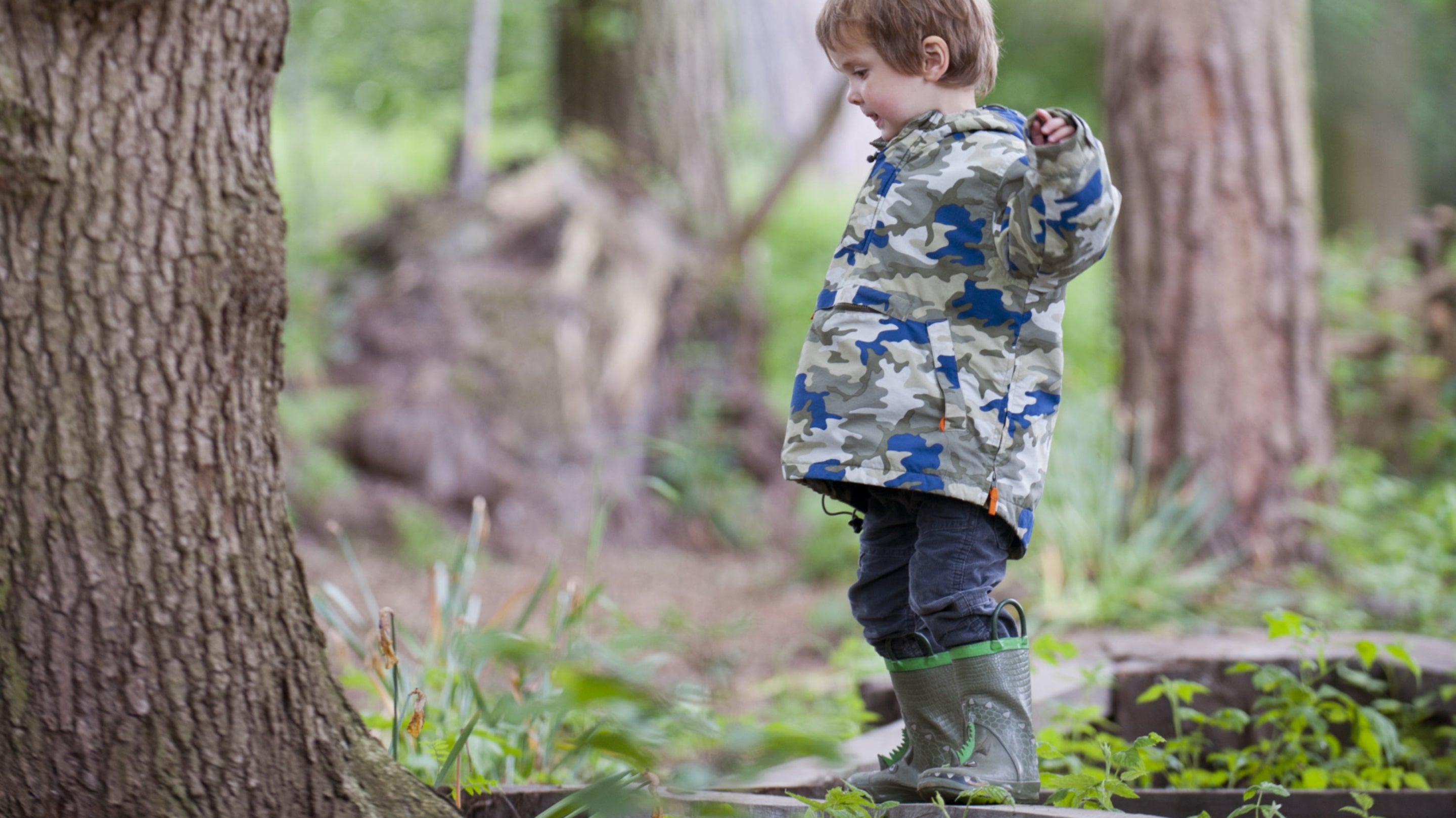 A boy wearing a coat and wellies balances on wooden beams, next to a tree