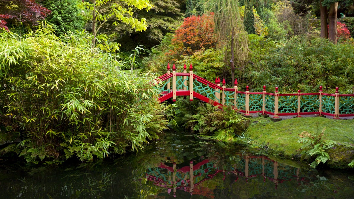 Visiting Biddulph Grange Garden Staffs National Trust
