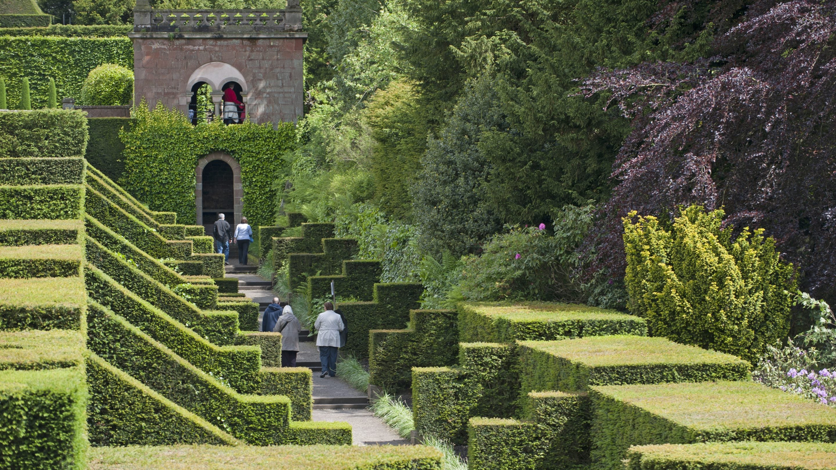 Visitors walk between geometrically clipped hedges in the Dahlia Walk in June at Biddulph Grange Garden, Staffordshire