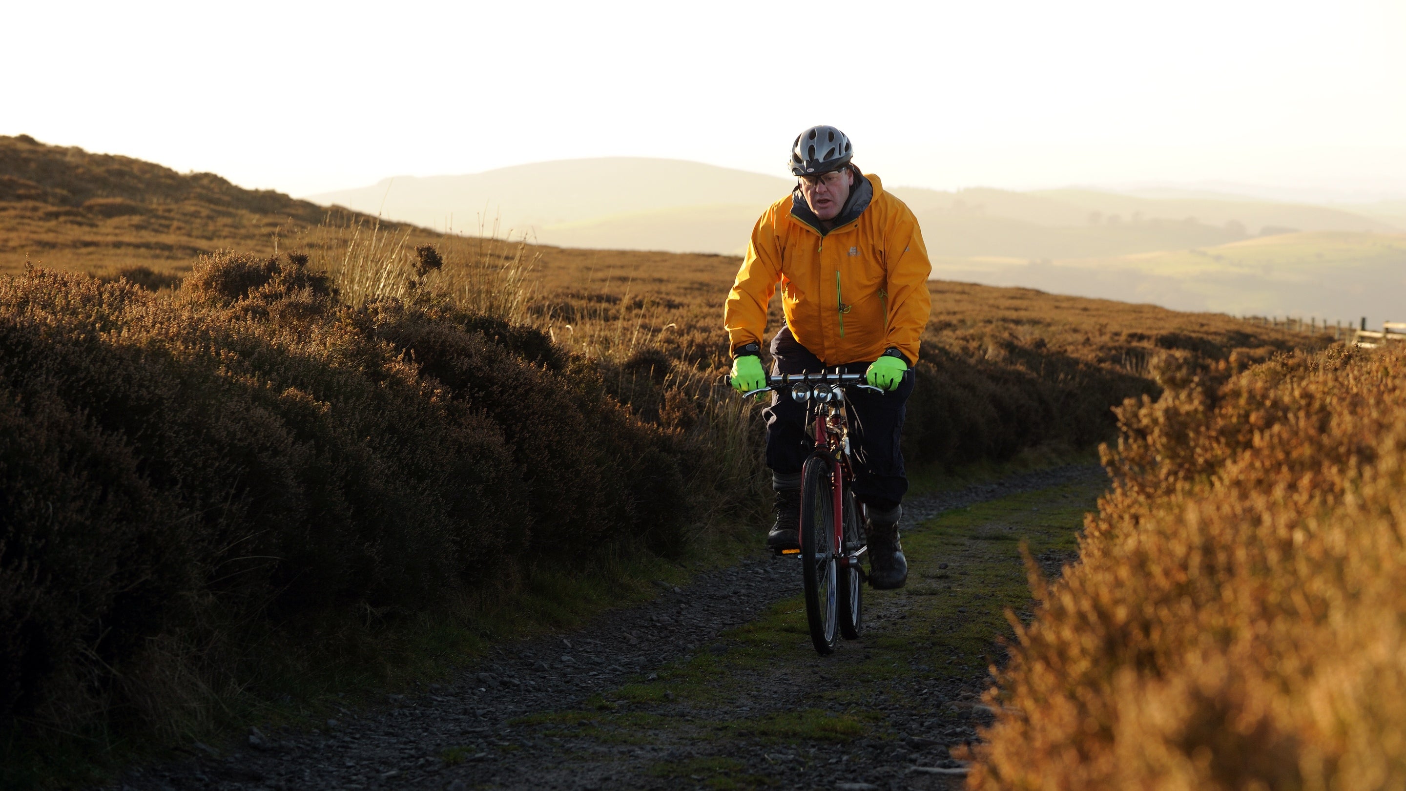 A man on a bike cycling along a road through moor-type in autumn sunshine