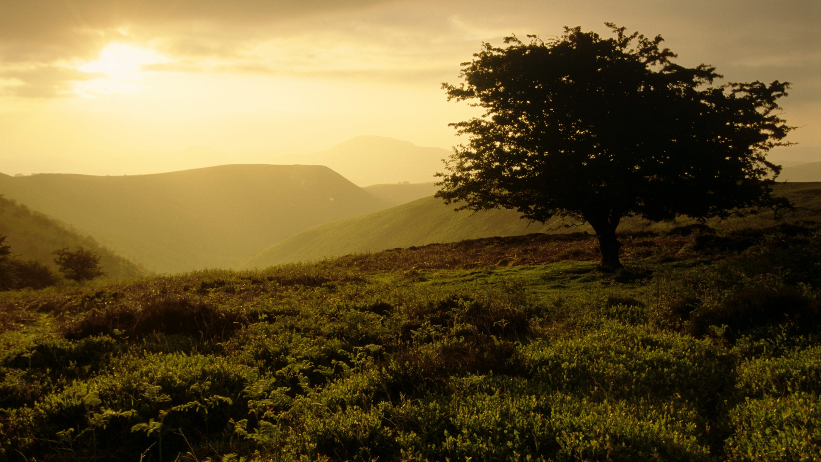 Dawn on the Long Mynd at the head of Carding Mill Valley, Shropshire