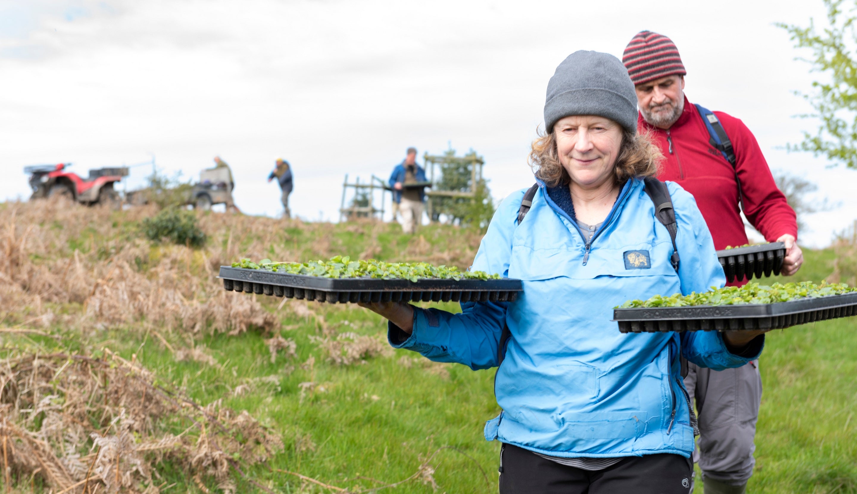 Stepping Stones Marsh Violet Planting Paul Harris Shropshire