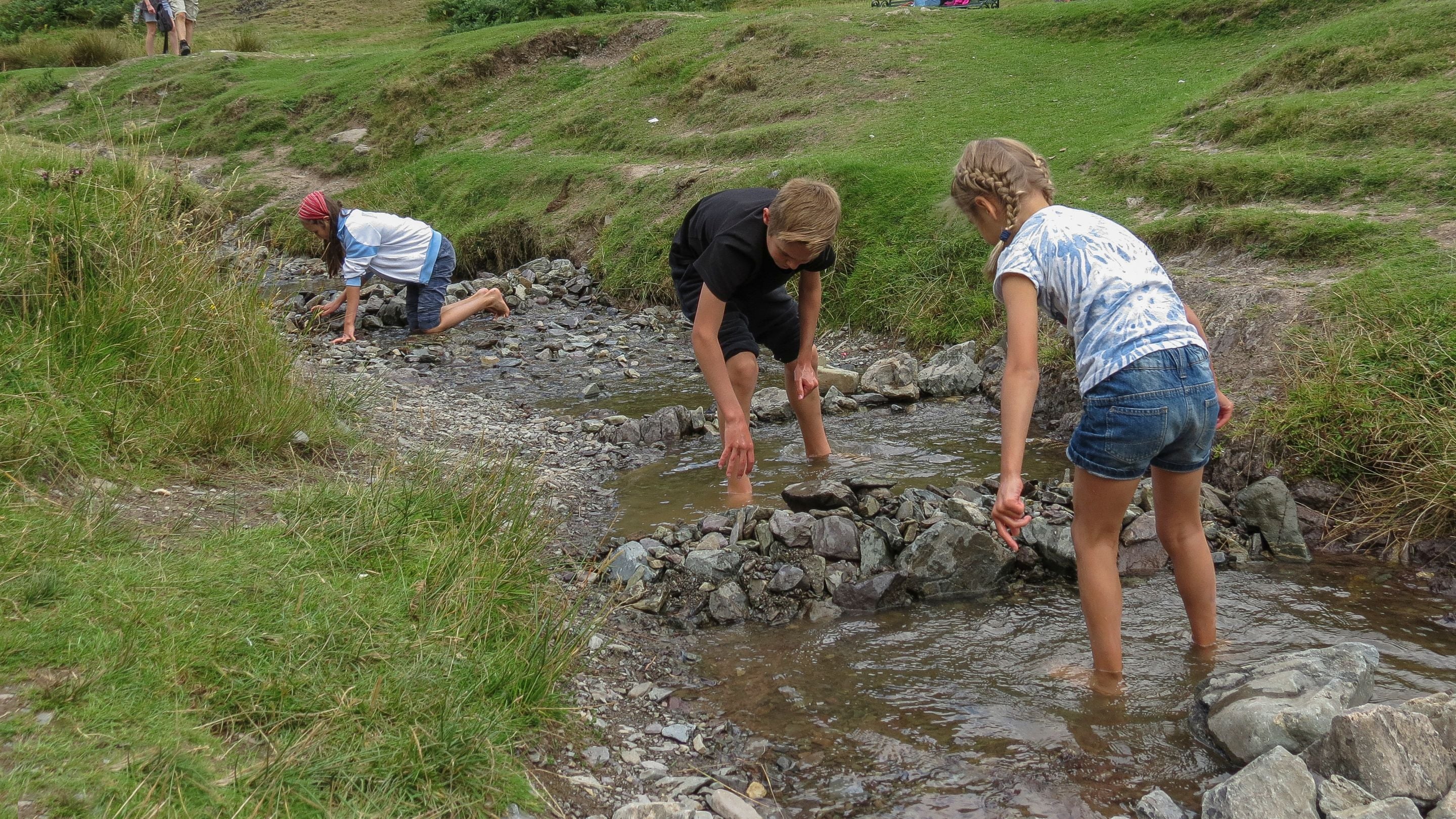 Damming the stream at Carding Mill Valley and Long Mynd, Shropshire