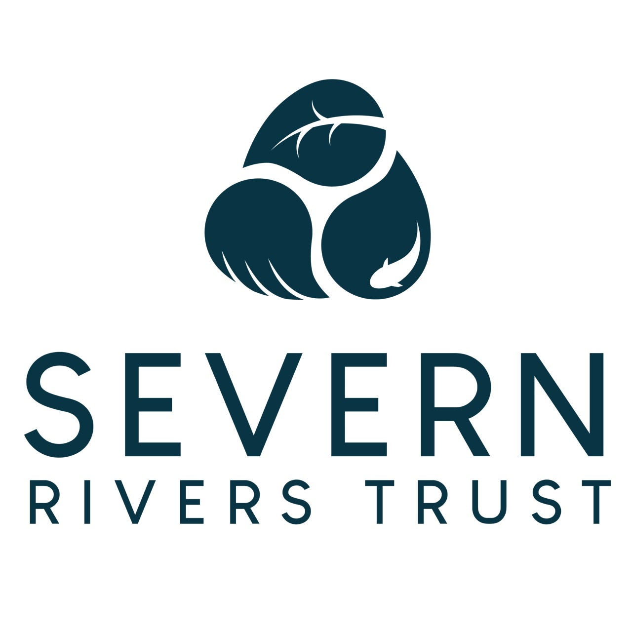 Severn Rivers Trust