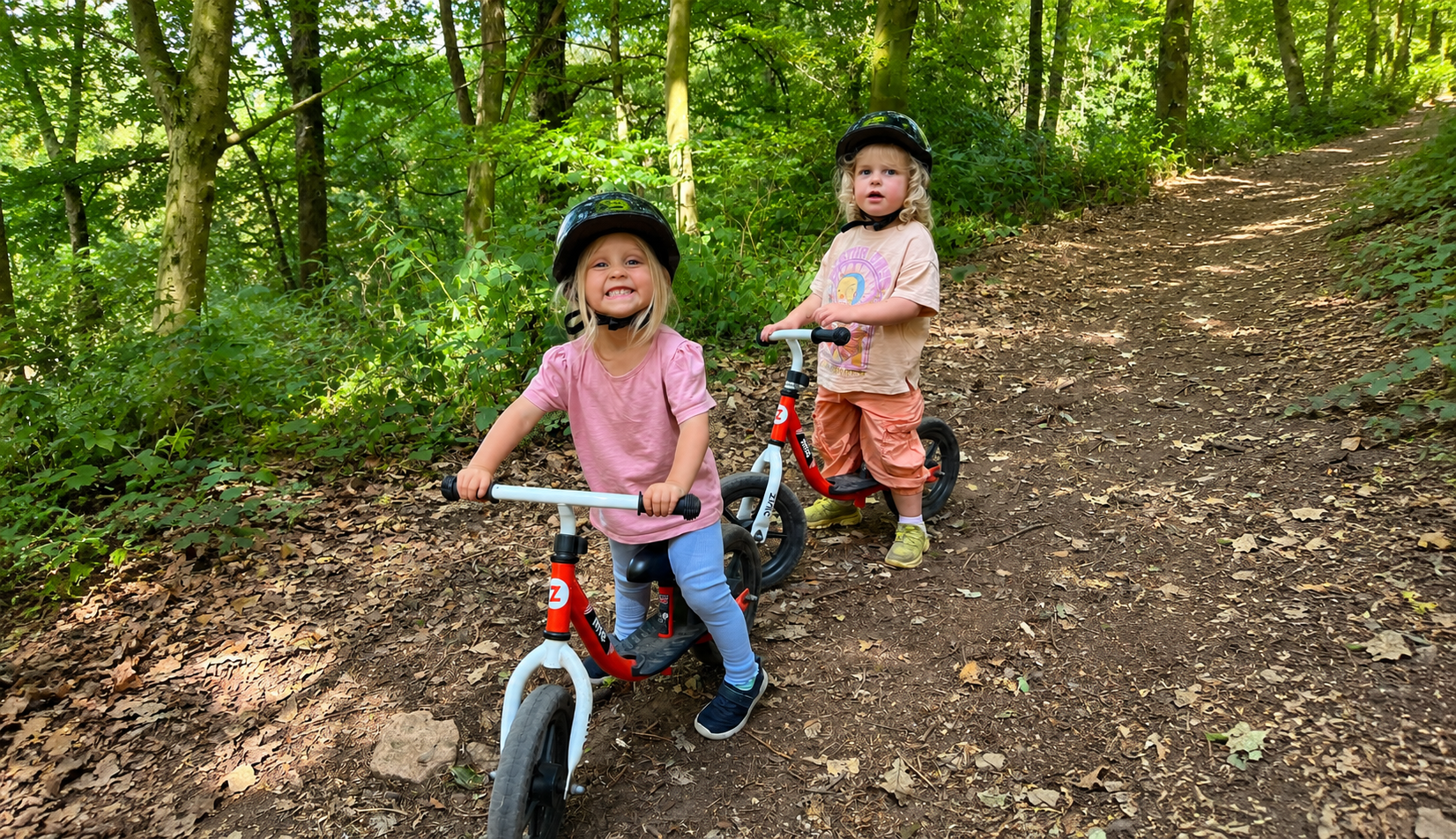 Dudmaston Comer Woods Children bikes Shropshire