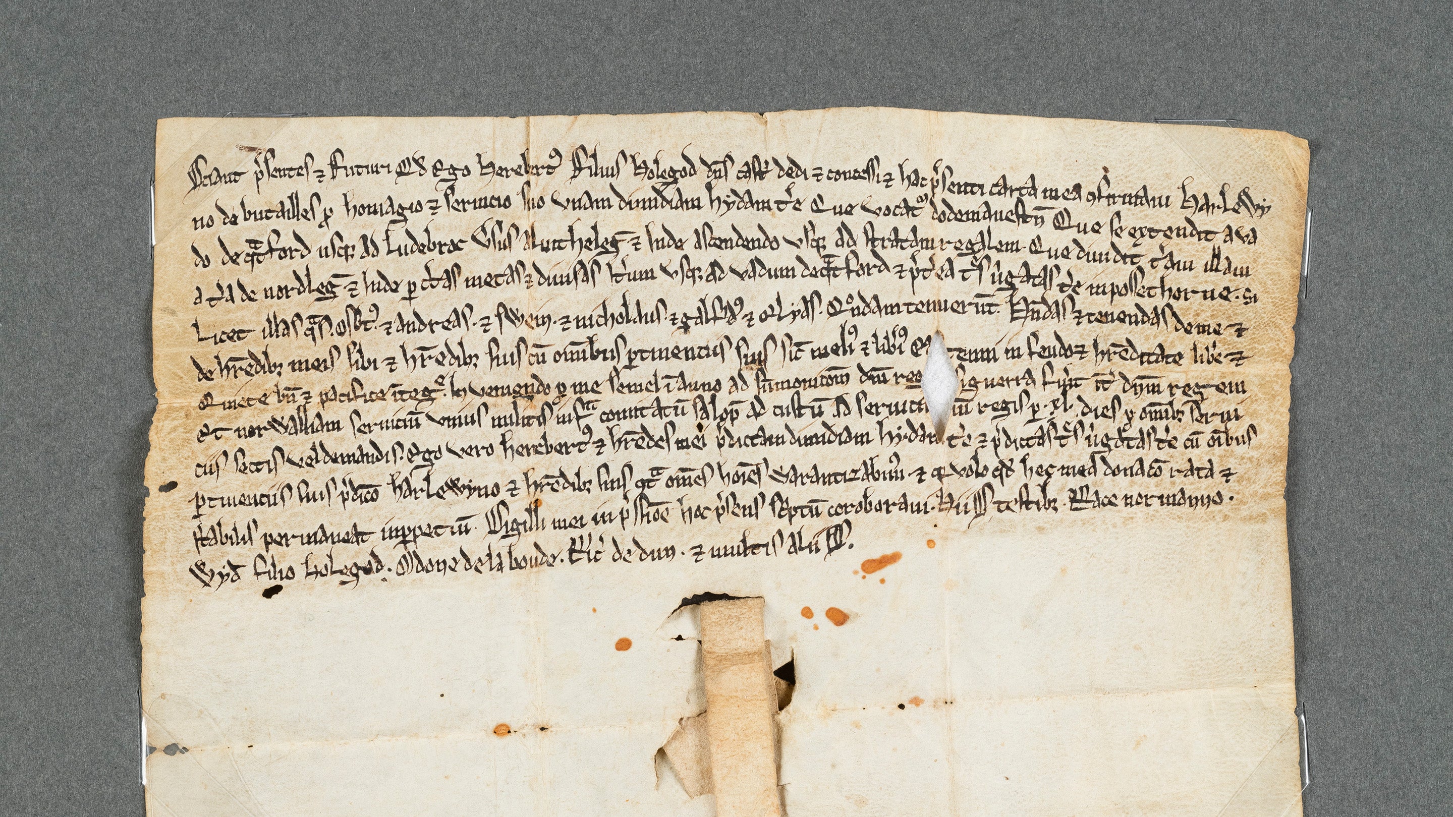 The medieval charter that granted Dudmaston to Harlewin de Butailles at Dudmaston, Shropshire