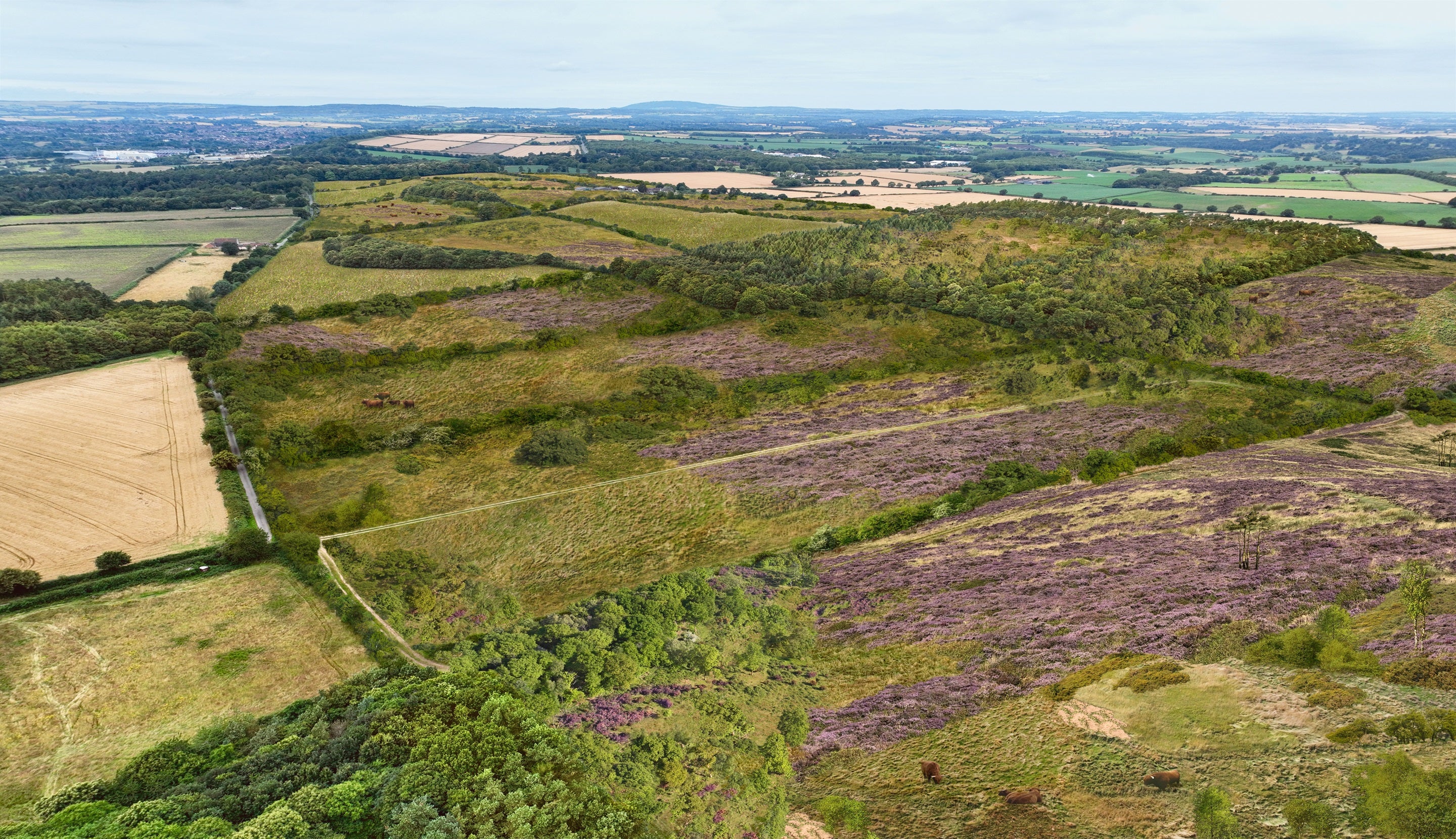 A visualisation of Mose Farm on the Dudmaston Estate in Shropshire