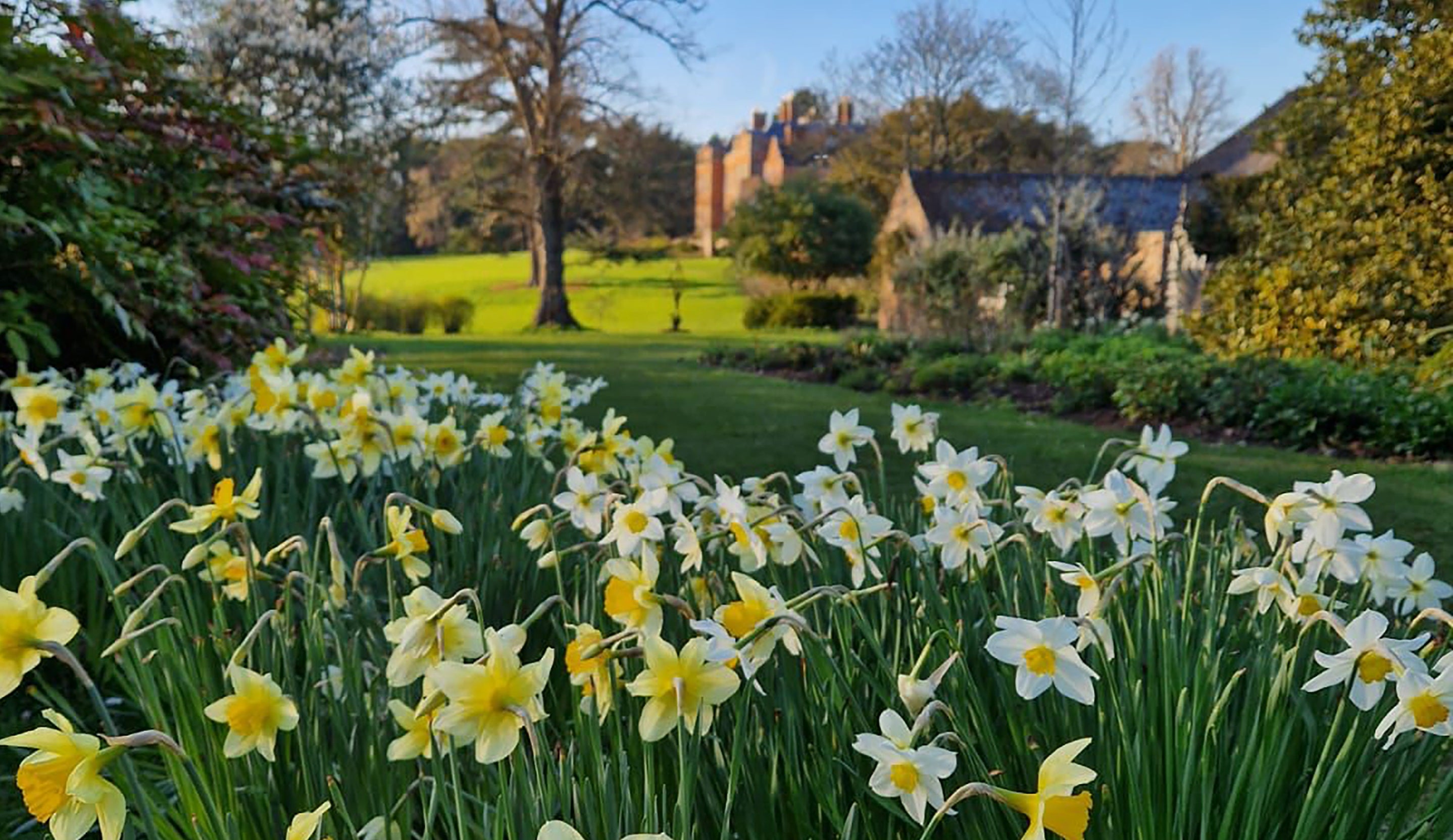 The garden in spring at Dudmaston in Shropshire