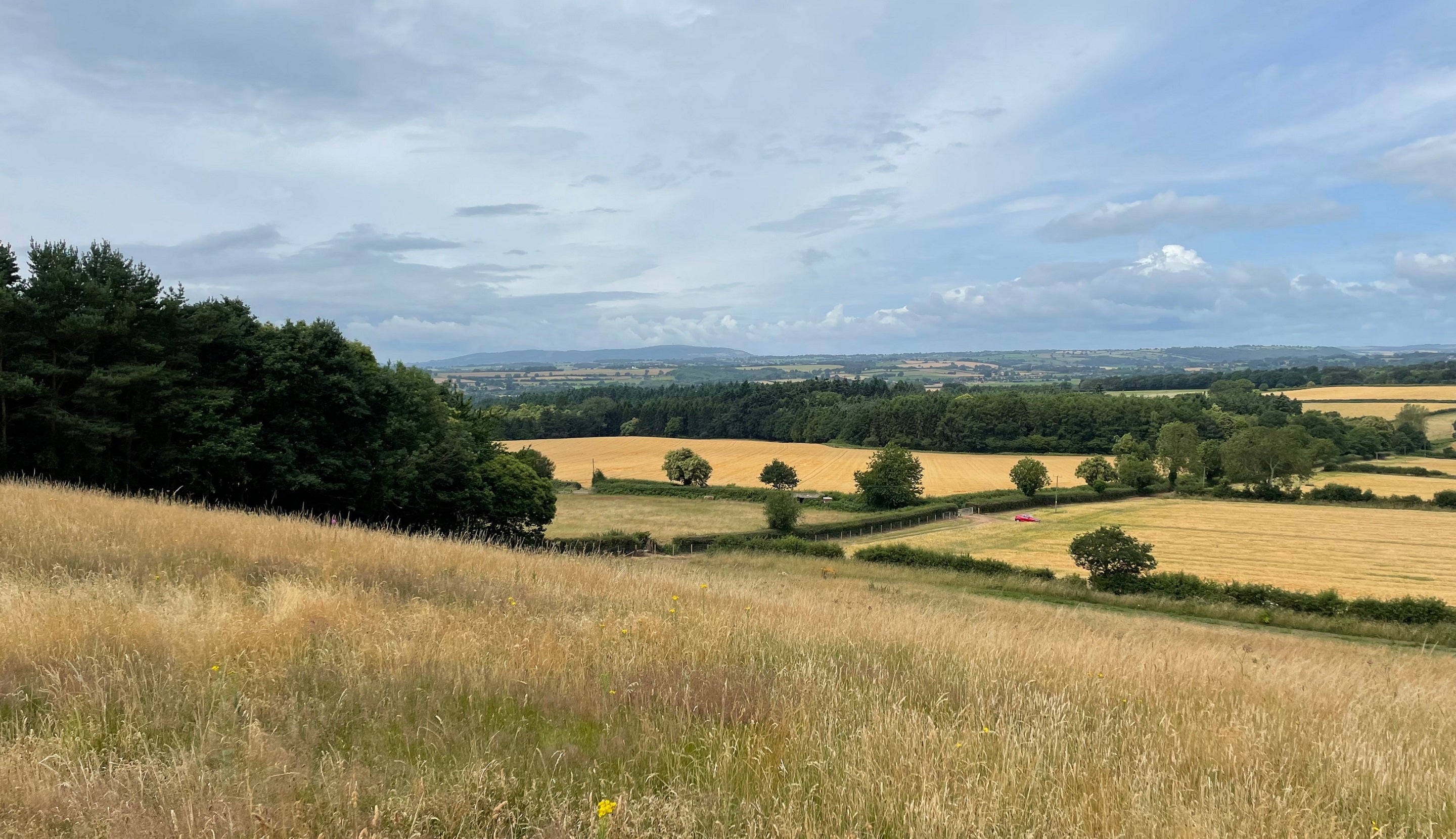 A view of the Sandscapes project area at Mose Farm, Dudmaston