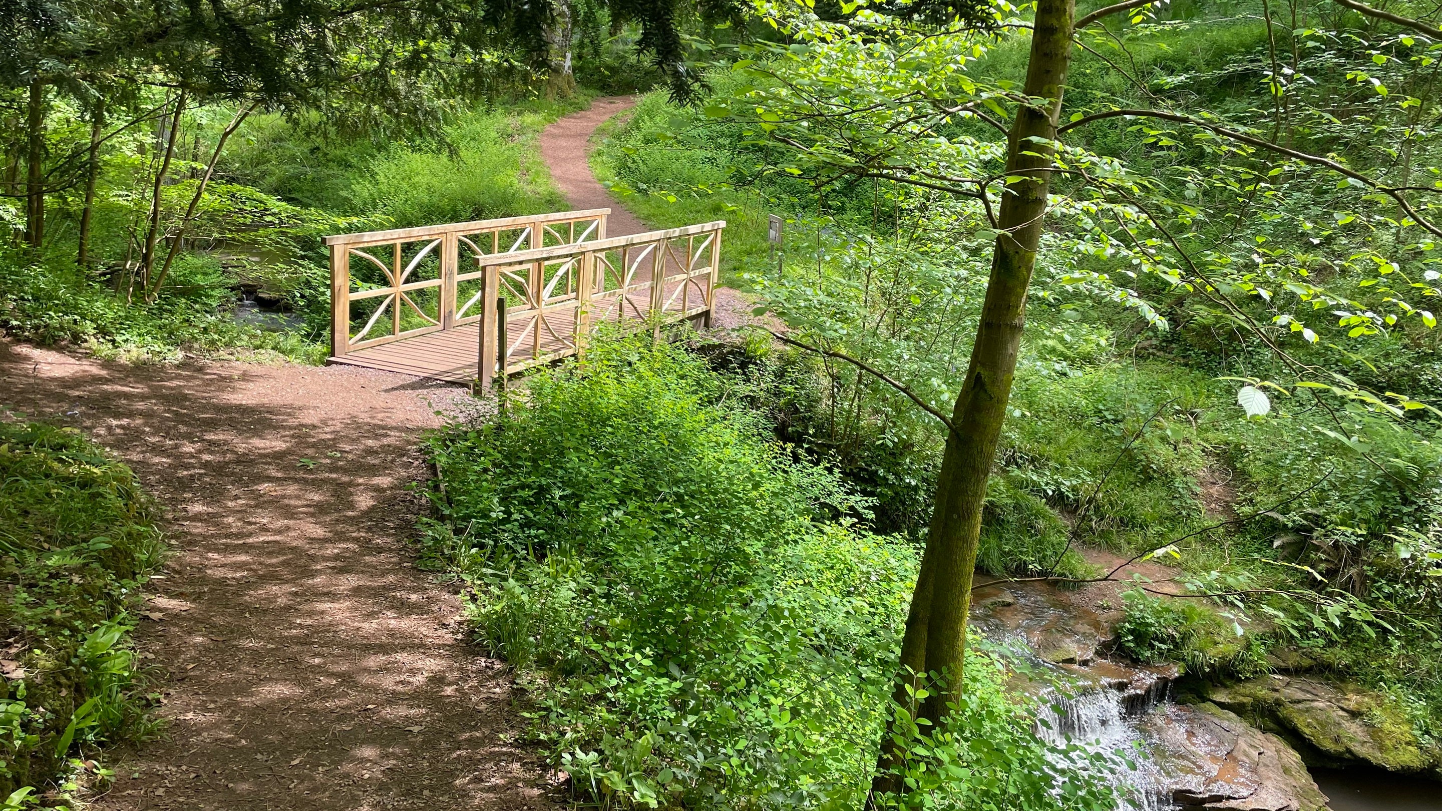 A rustic bridge in a woodland dingle, a path leads into the woods.