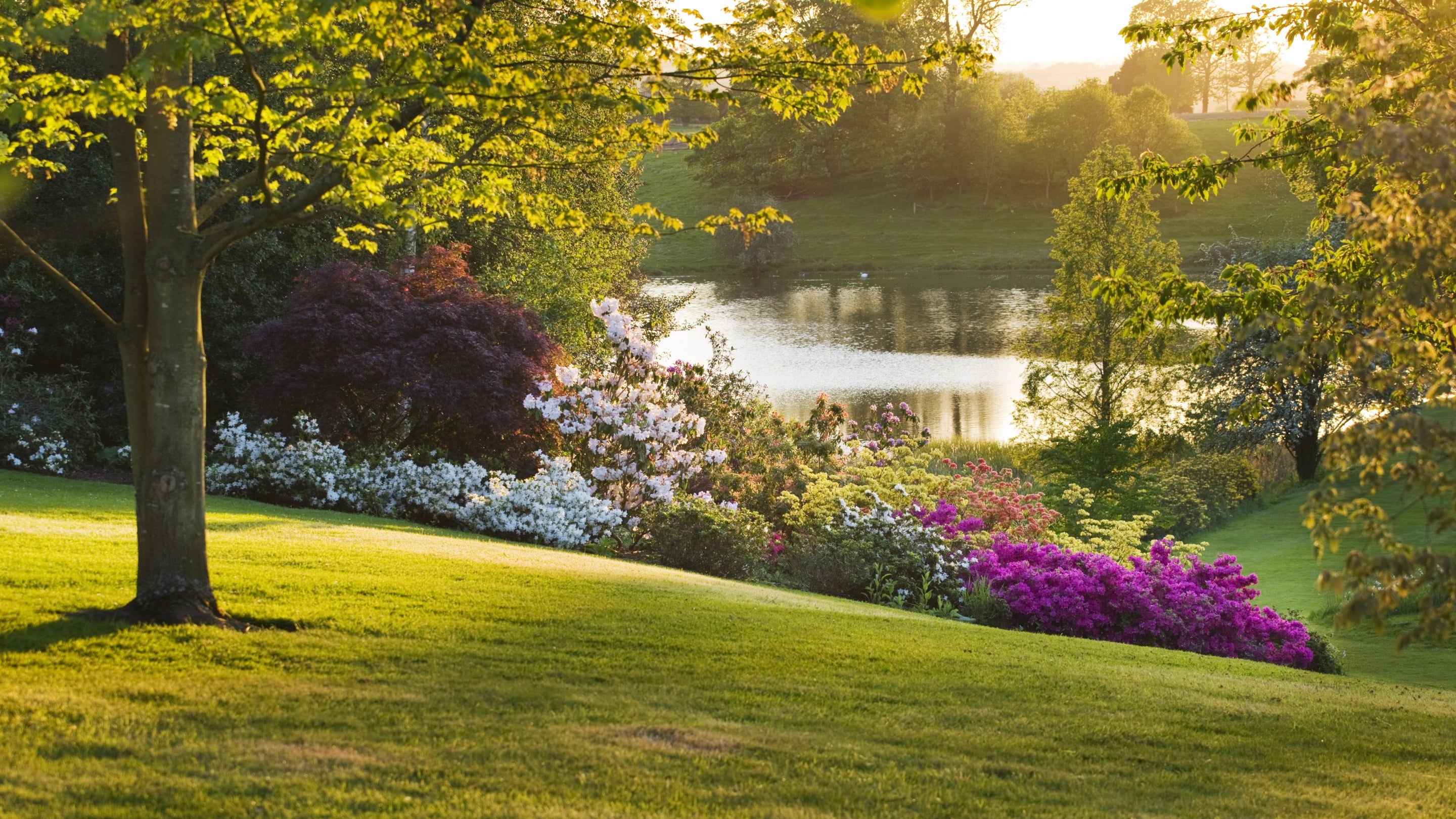 A view of a lake at Dudmaston, Shropshire, at sunset, with a gently sloping grassy hill and flowerbeds filled with colourful blooms in the foreground.
