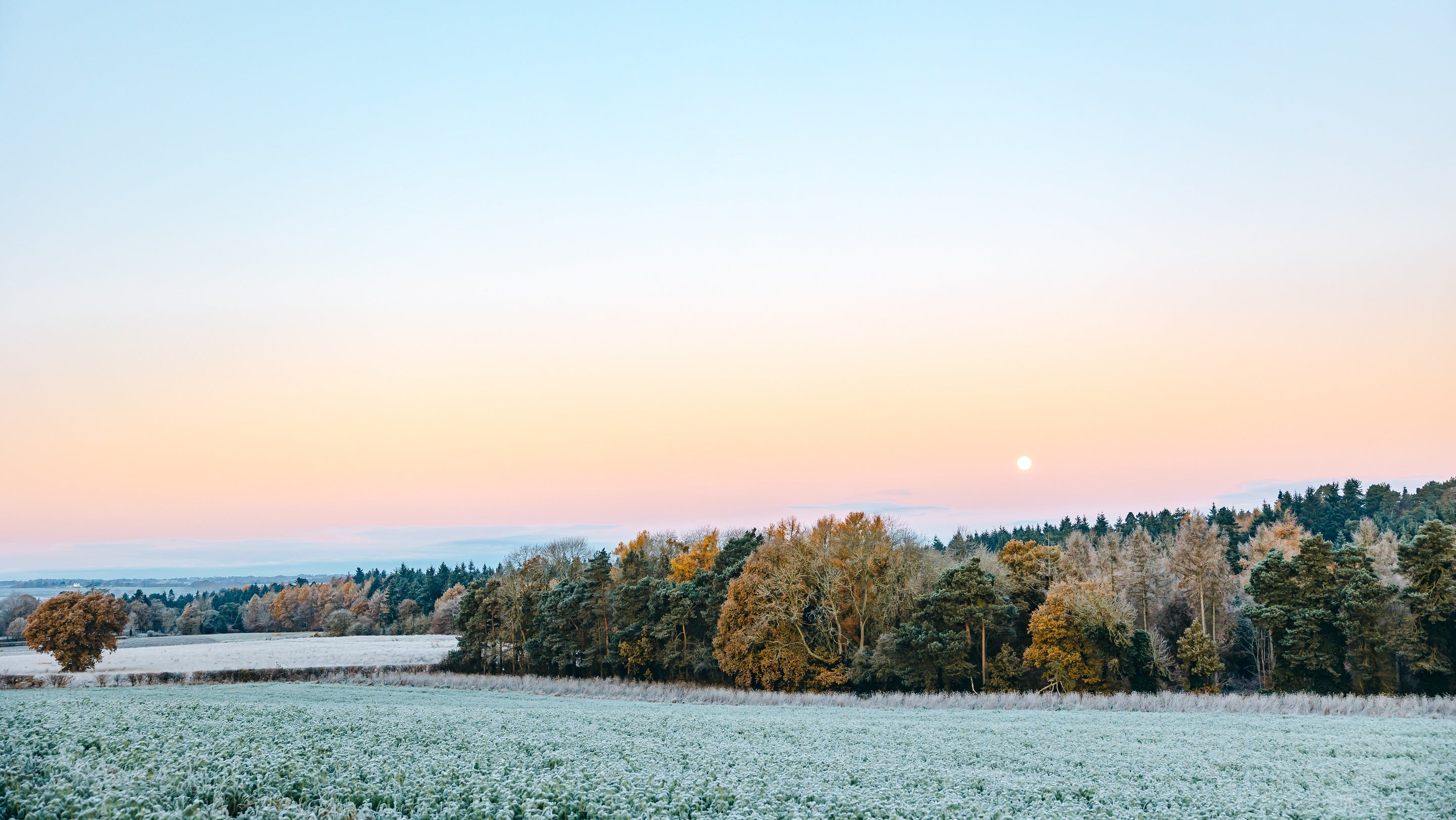 View towards Comer Woods on the Dudmaston Estate in winter