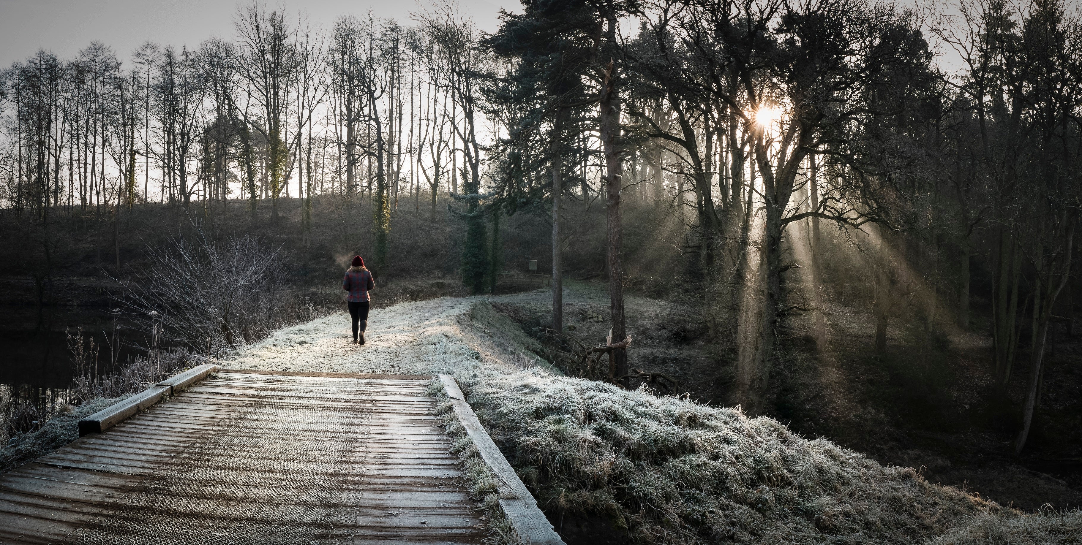 Person walking through frosty landscape