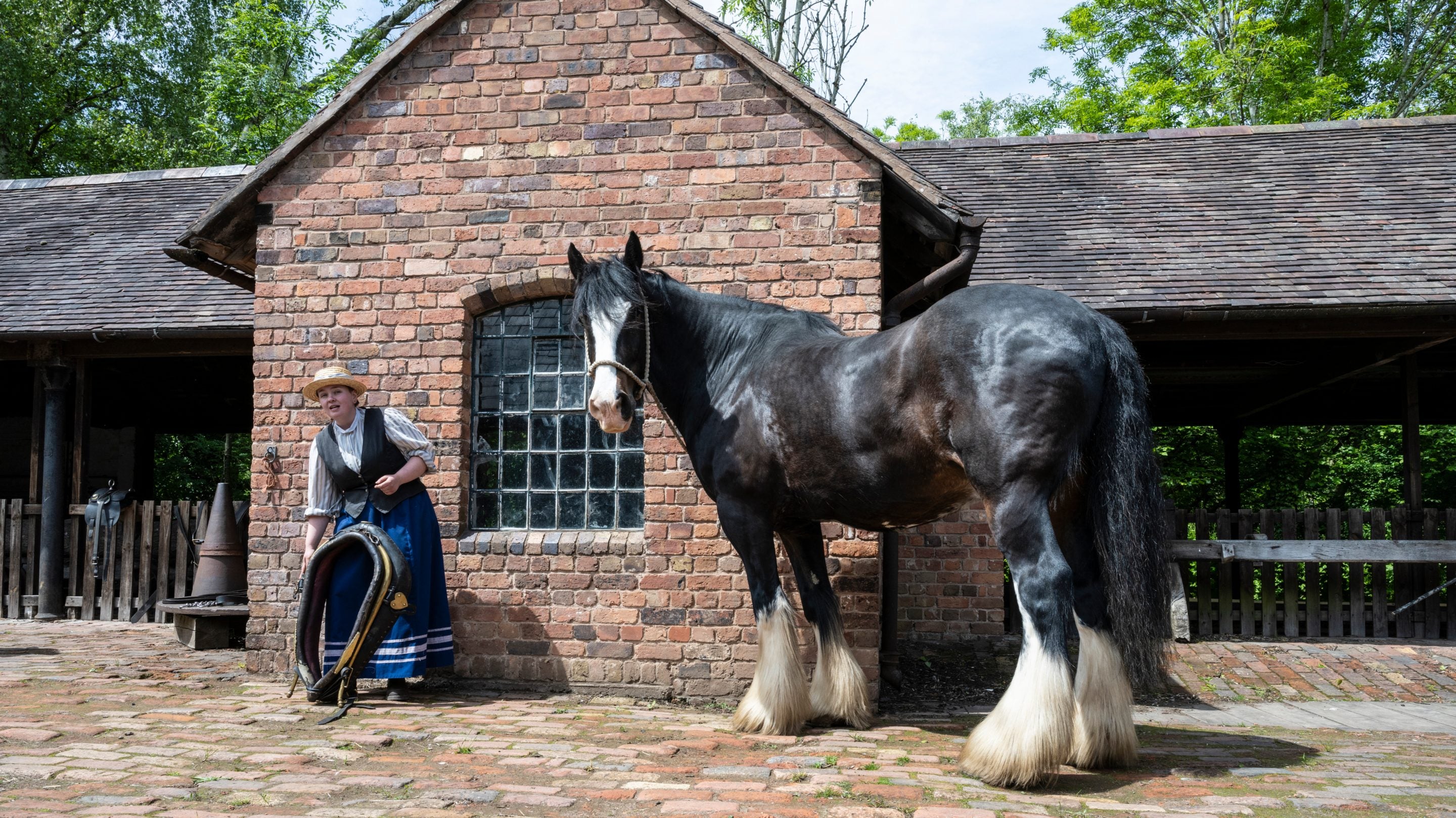 A woman in Victorian costume holds a heavy horse collar. Next to her stands a huge Shire horse called George.